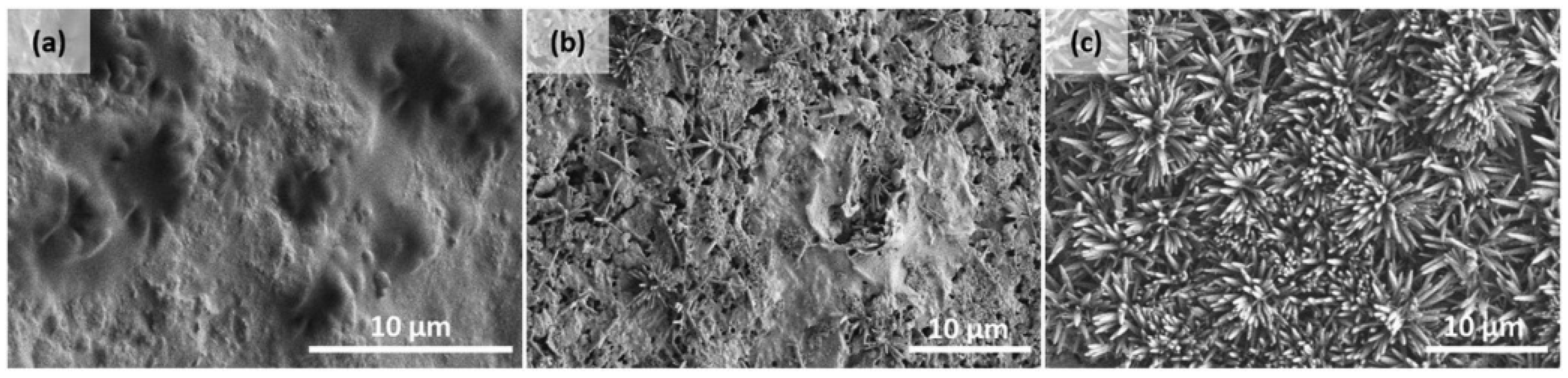 Ceramics 07 00009 g010