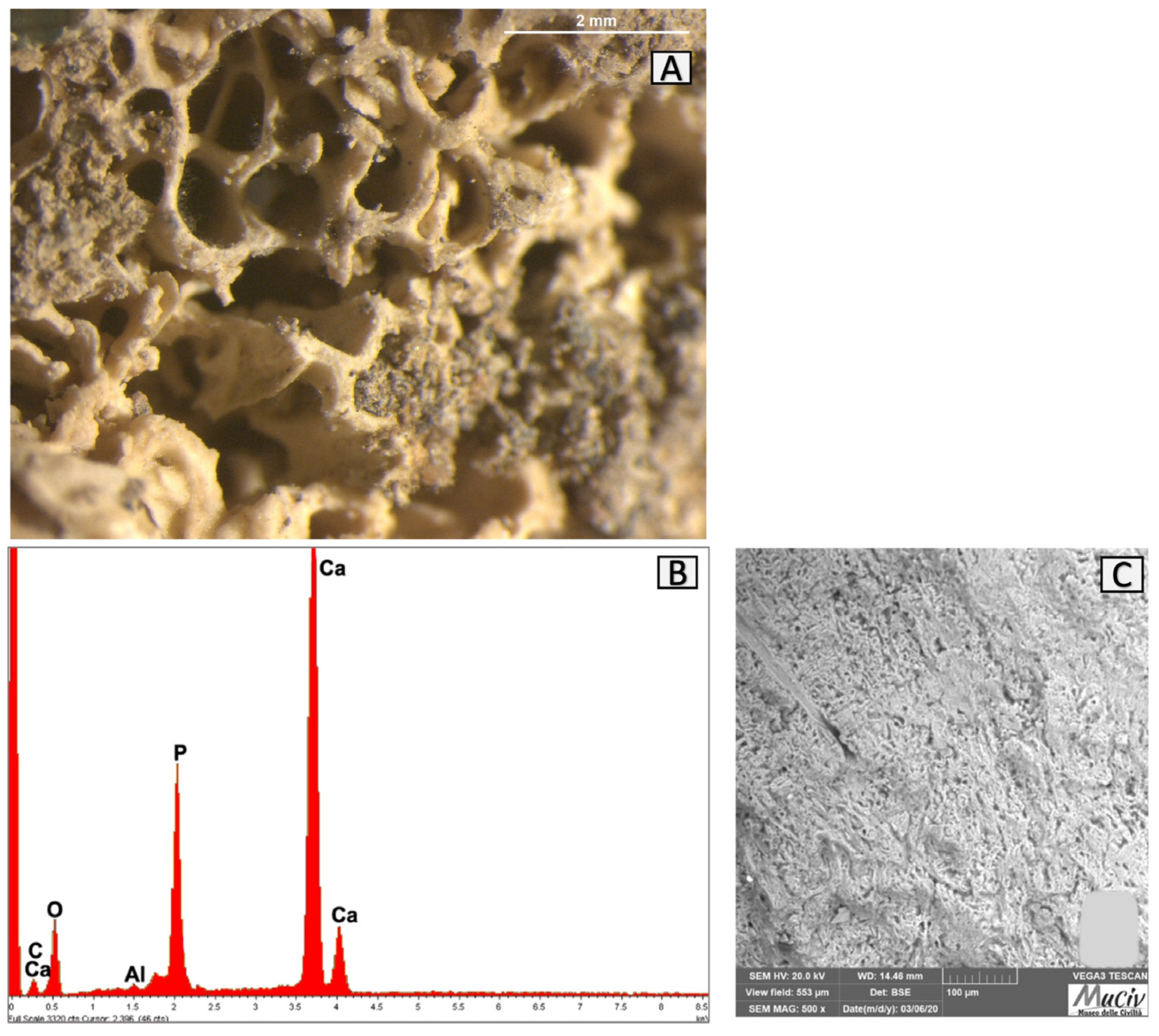 Ceramics 07 00010 g029
