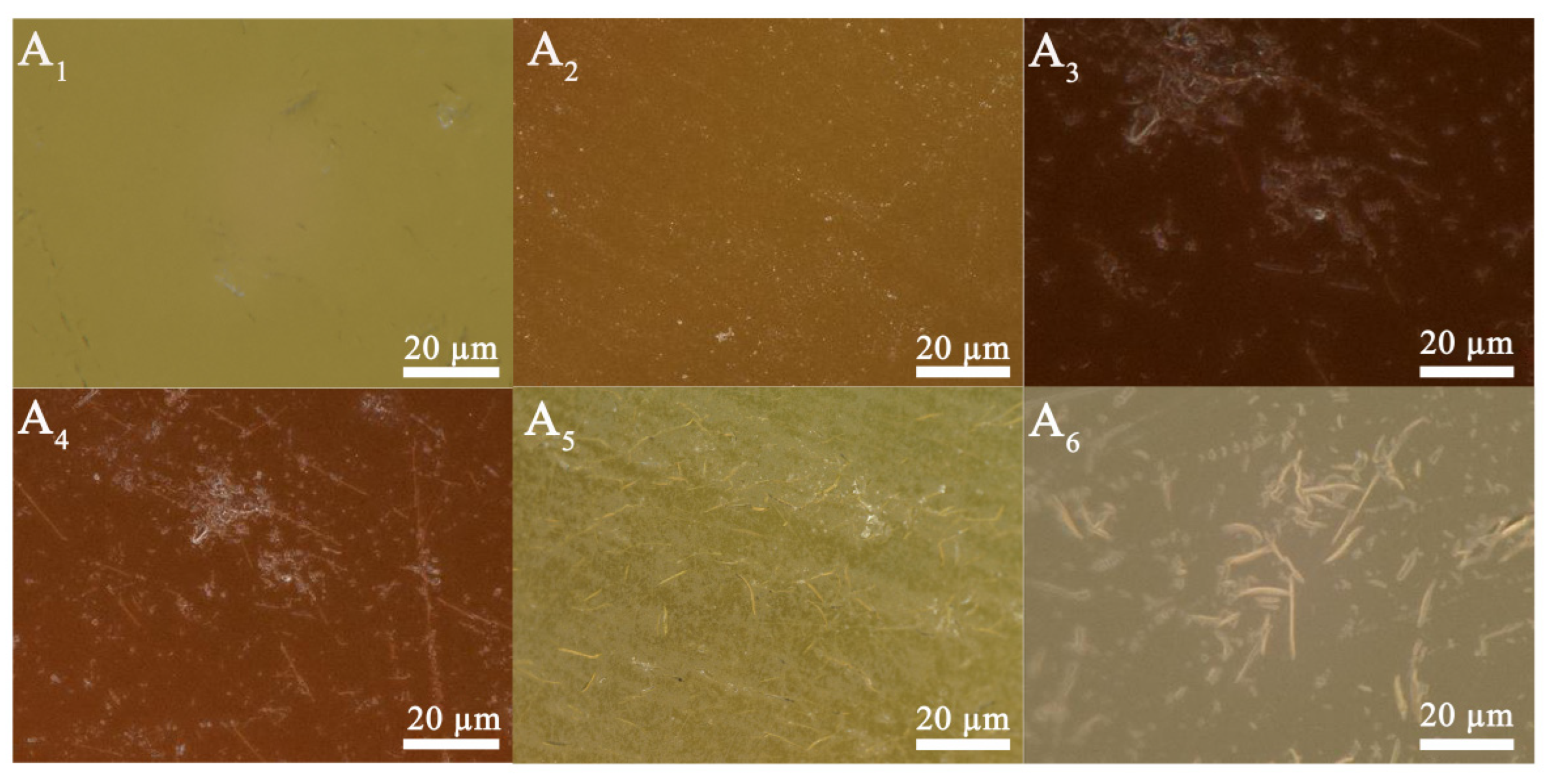 Ceramics 07 00034 g003