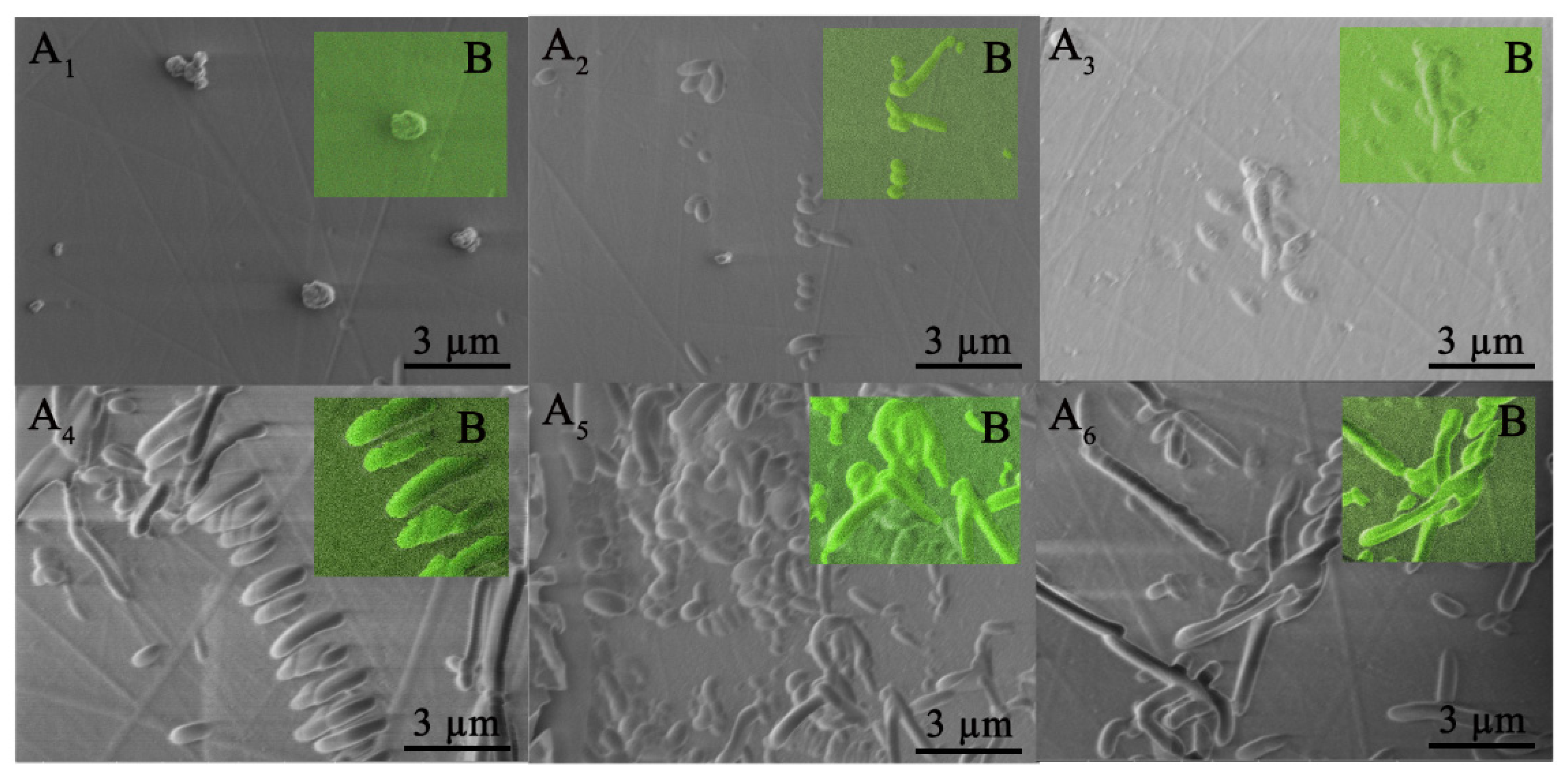 Ceramics 07 00034 g004