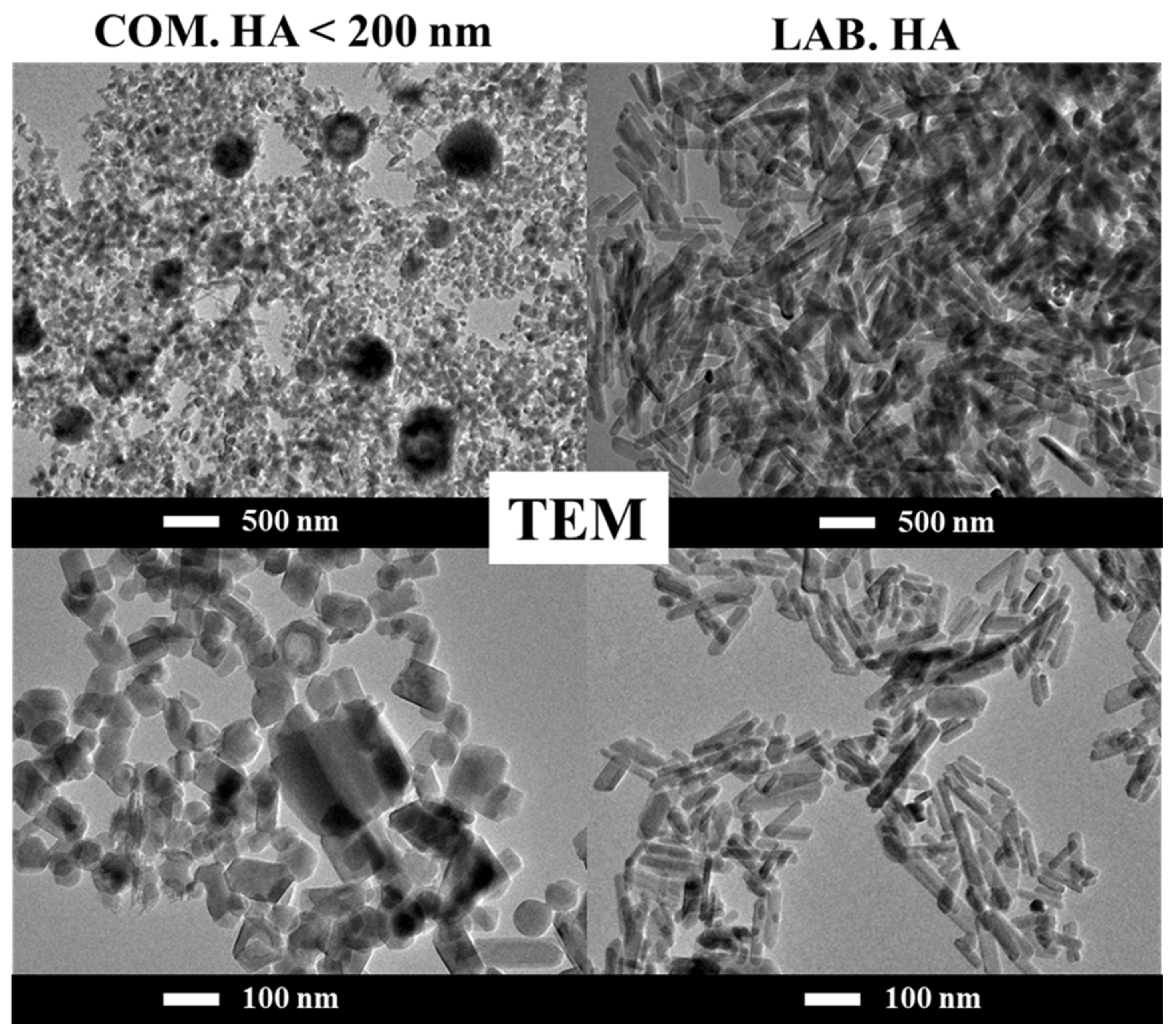 Ceramics 07 00040 g002 Ceramics 07 00040 g002
