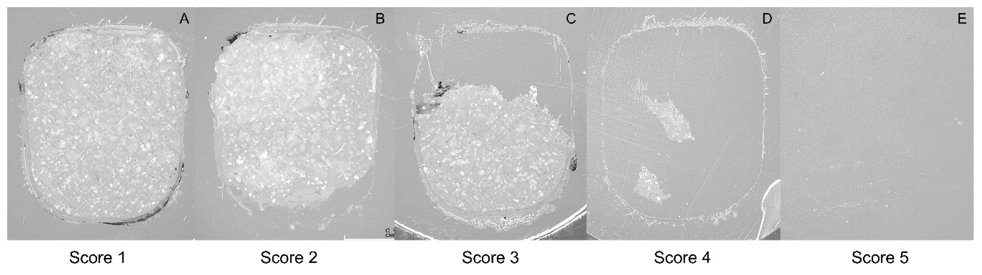 Ceramics 07 00045 g004 Ceramics 07 00045 g004