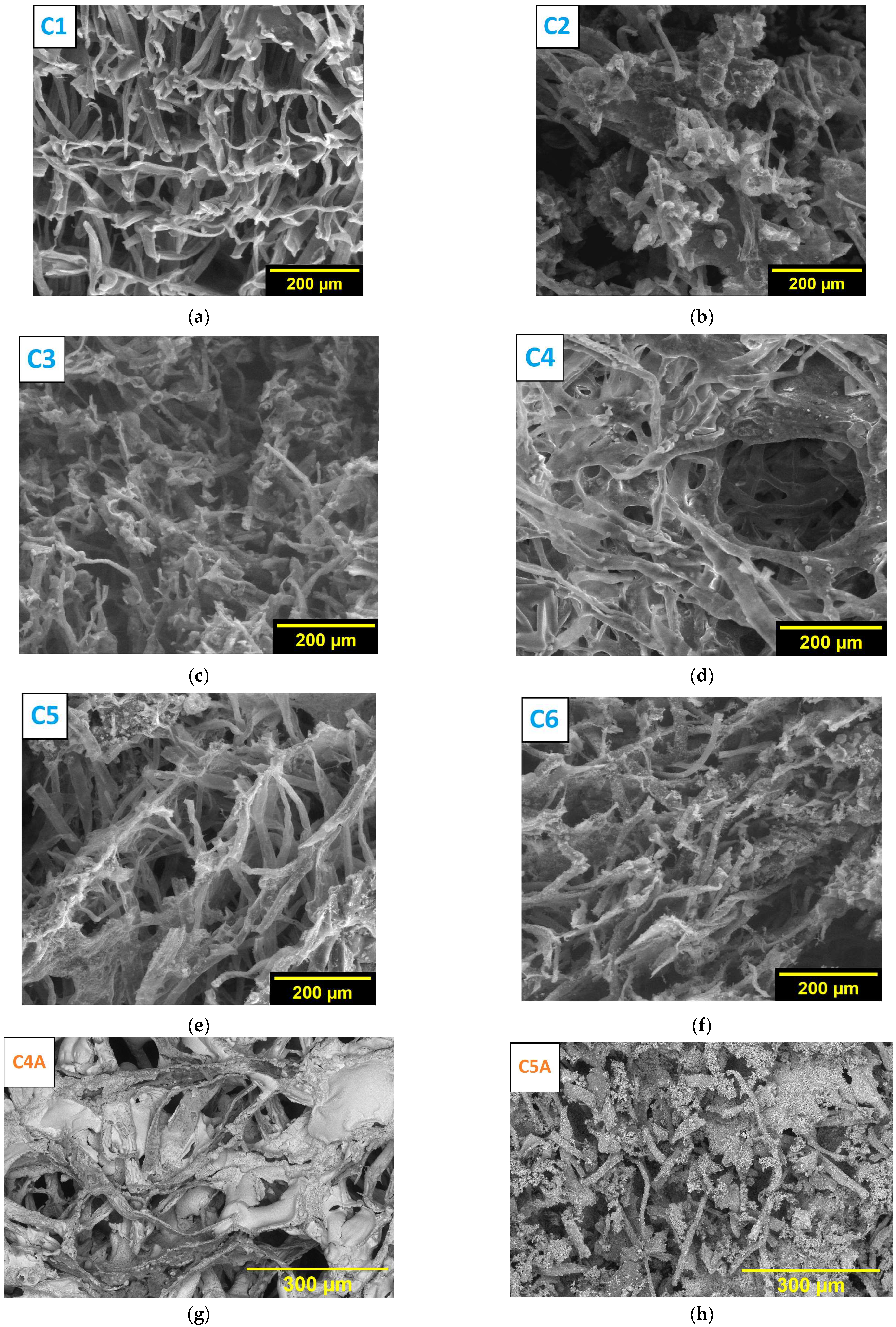 Ceramics 07 00051 g005