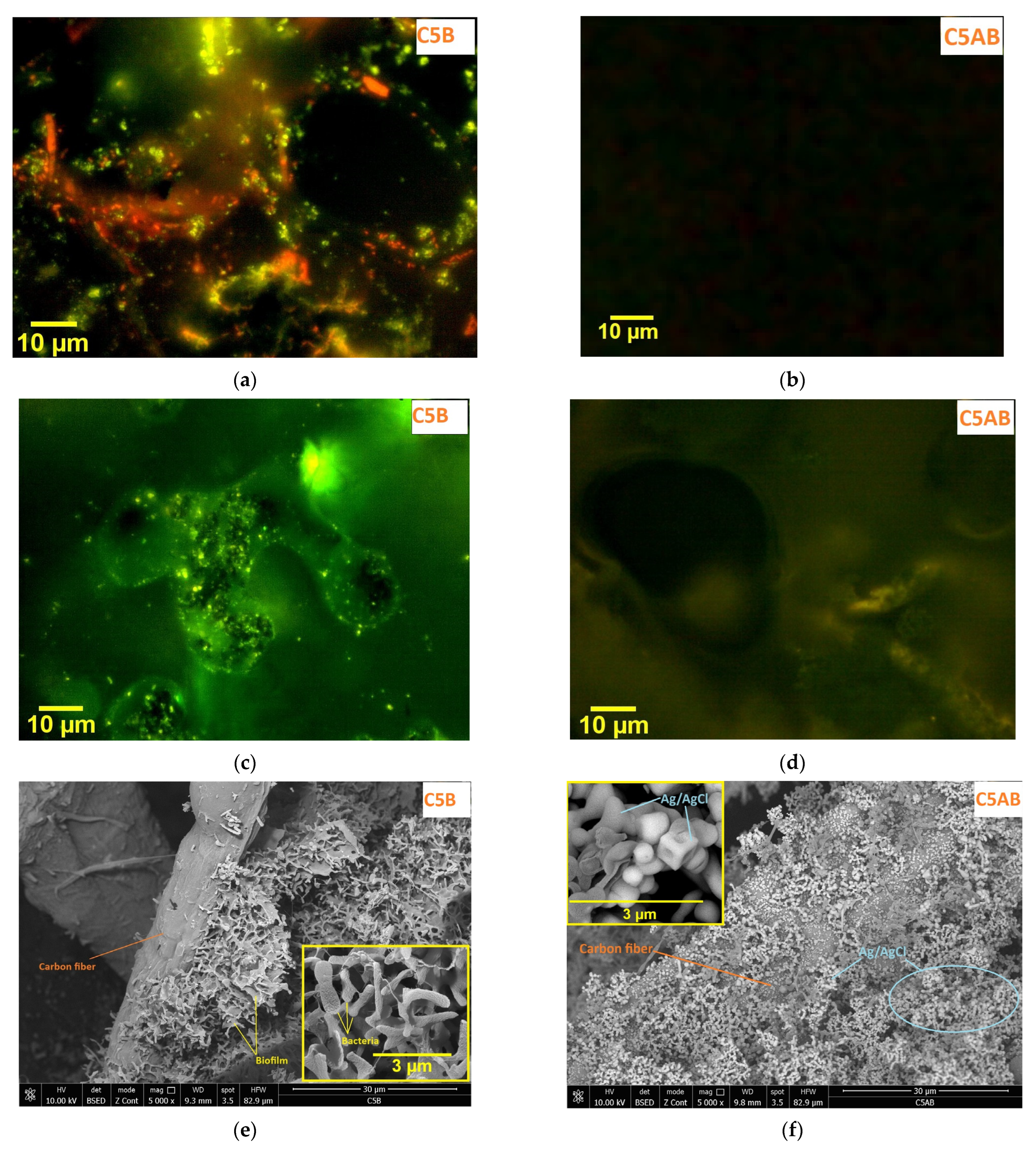 Ceramics 07 00051 g008a