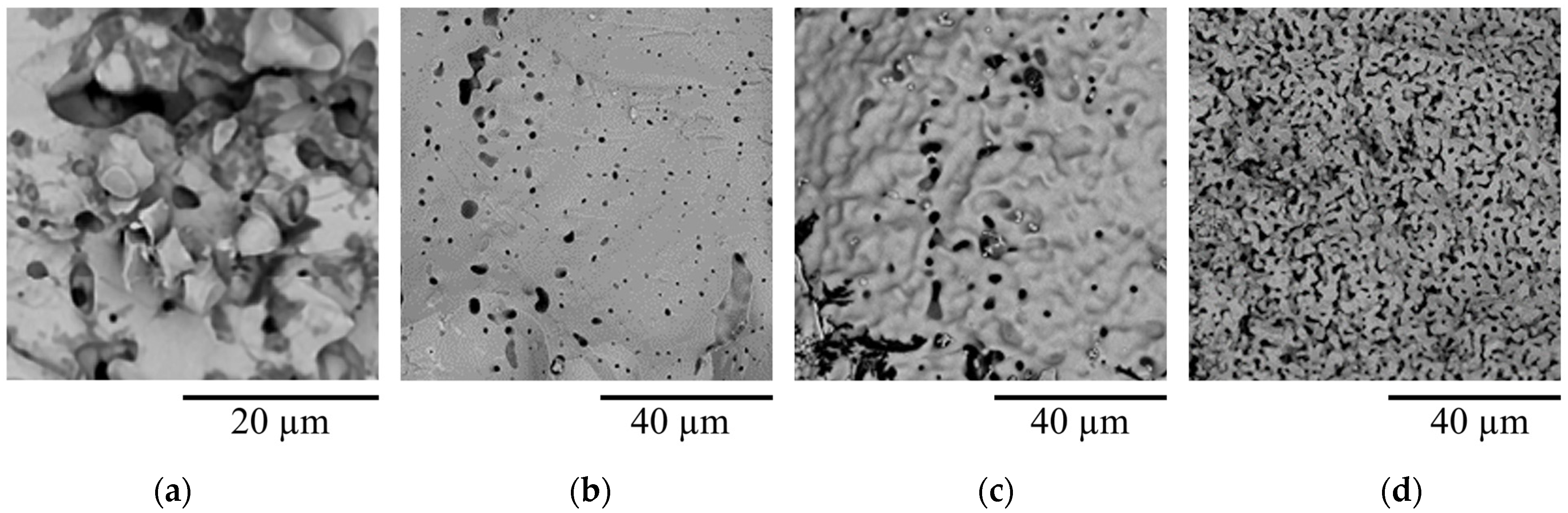 Ceramics 07 00080 g007
