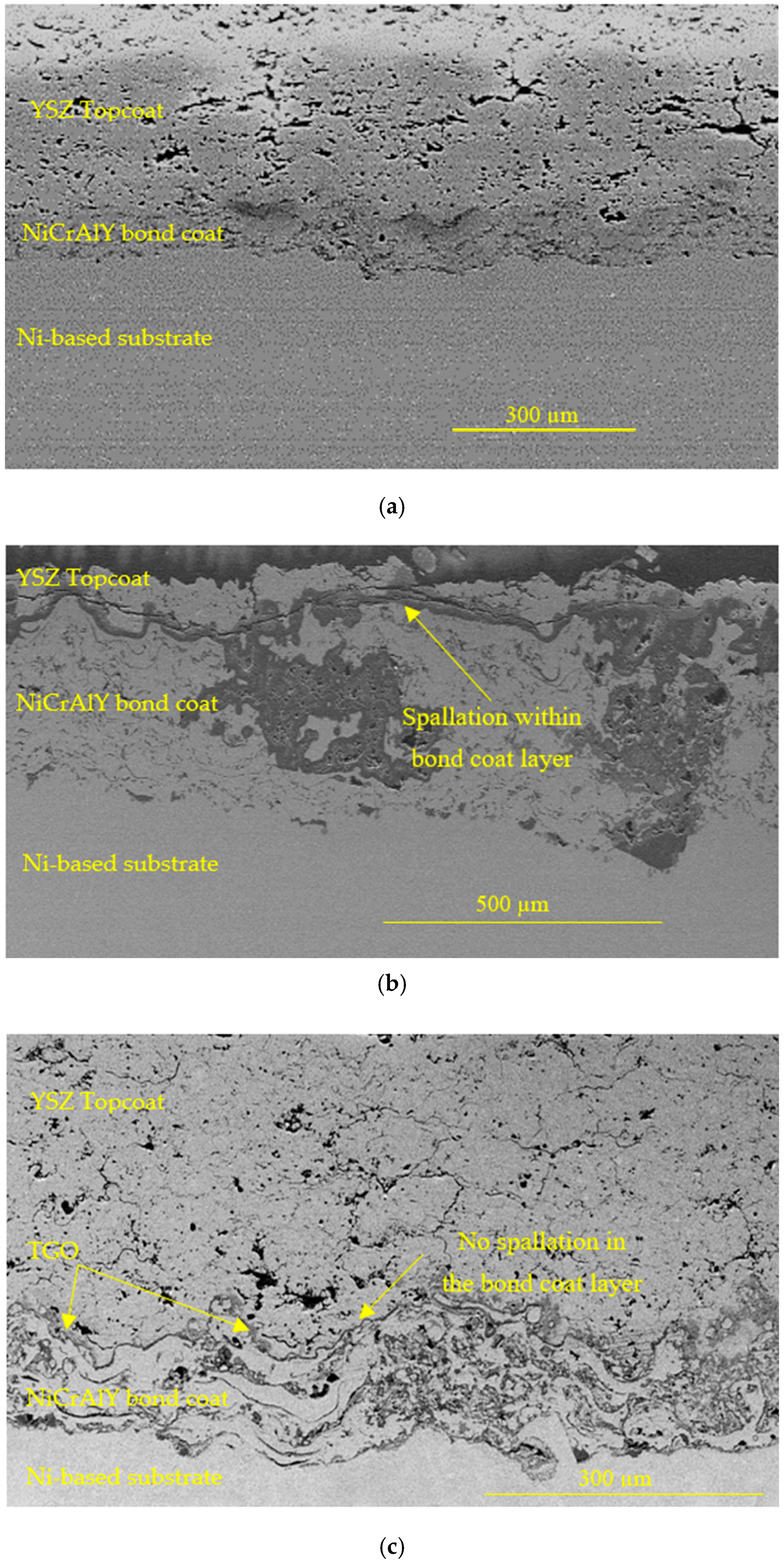 Ceramics 07 00088 g013
