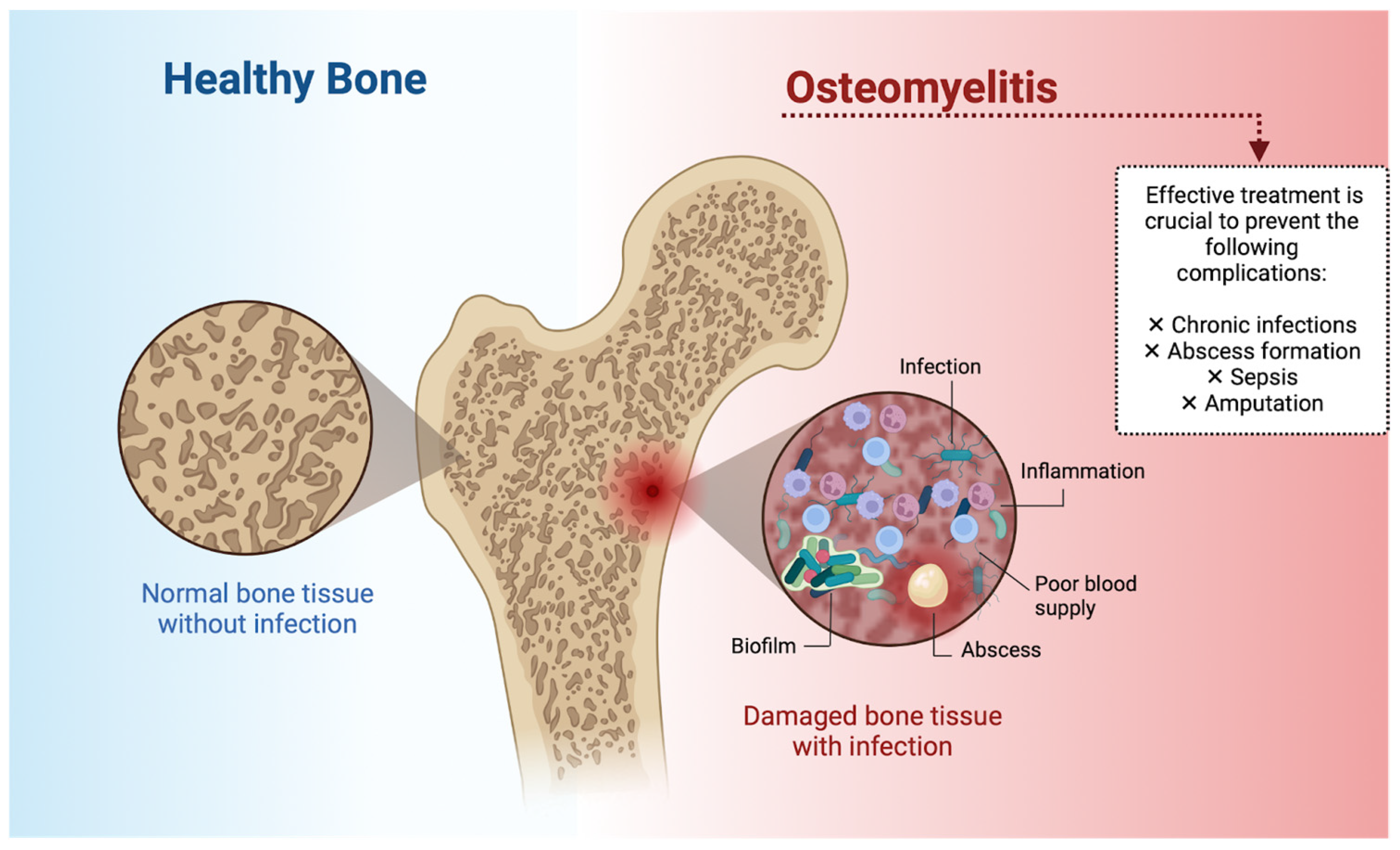 Ceramics 07 00113 g001