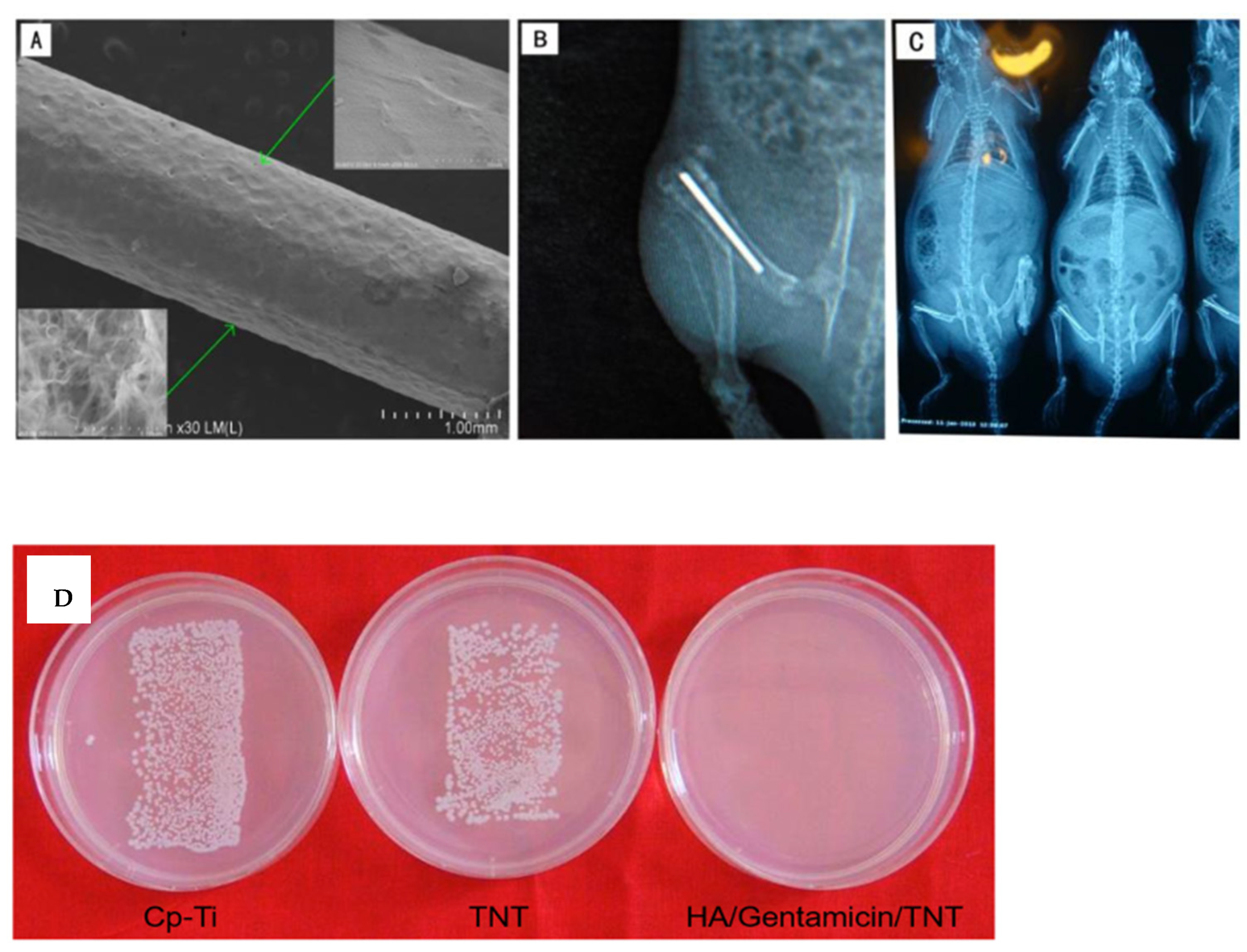 Ceramics 07 00113 g006