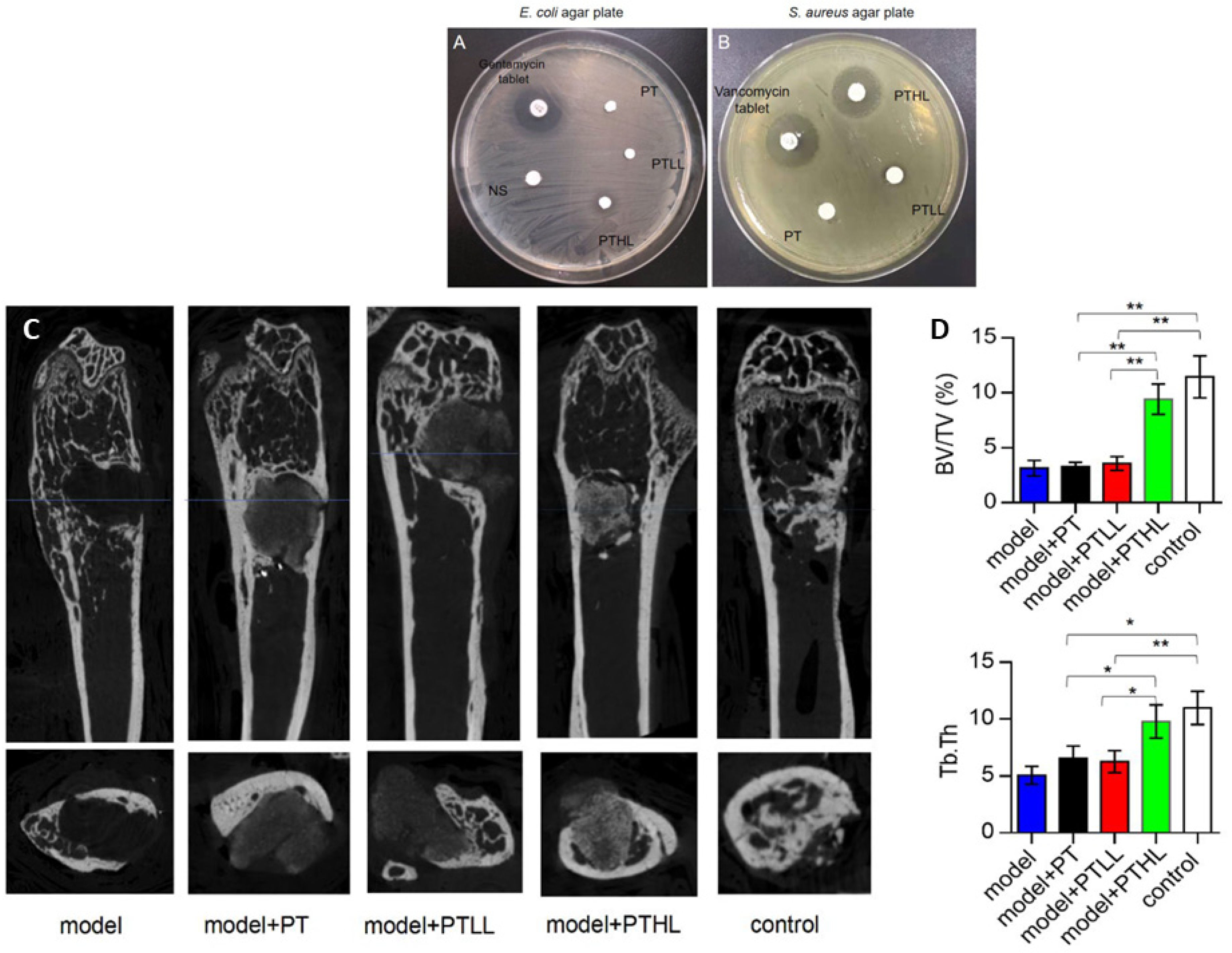 Ceramics 07 00113 g008