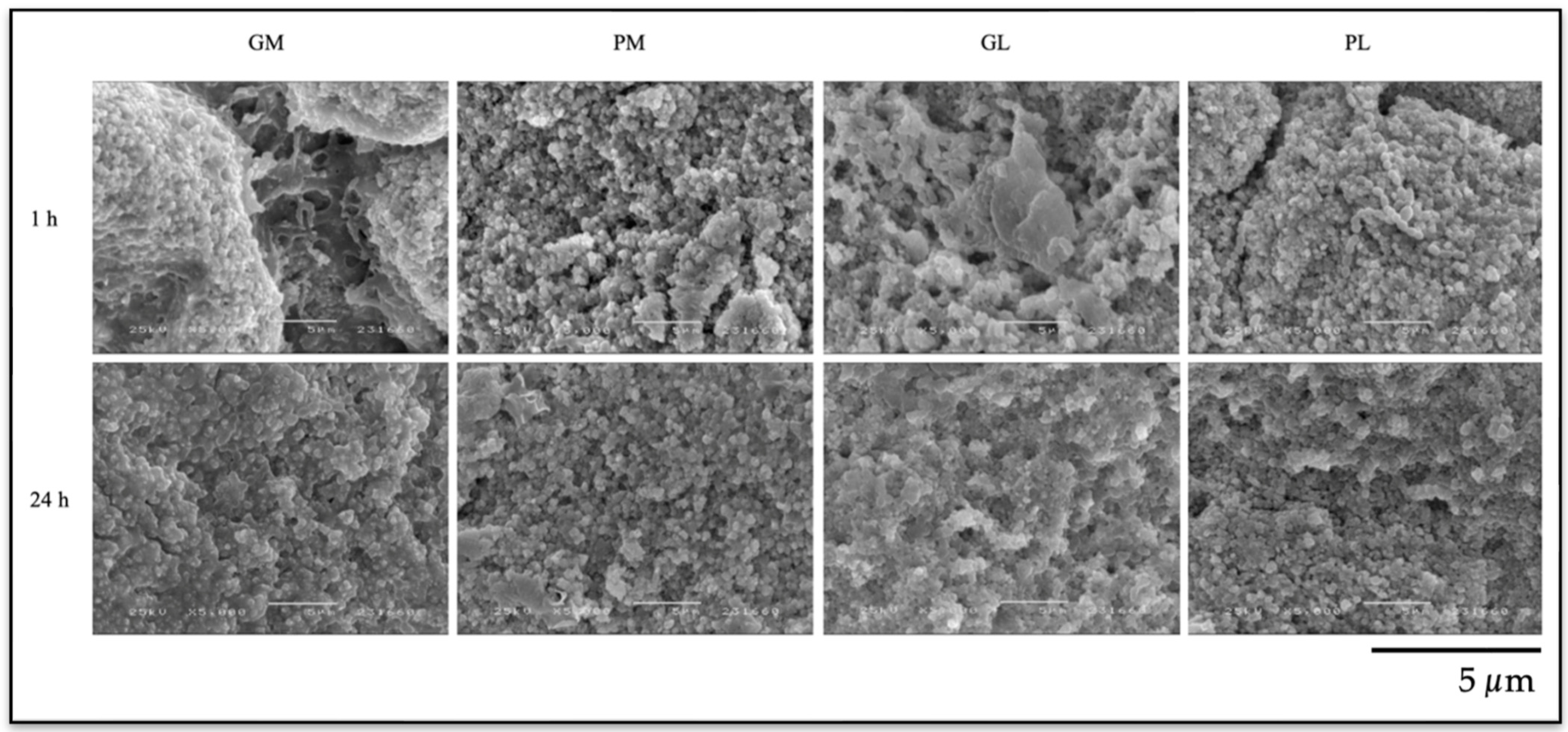 Ceramics 07 00116 g008