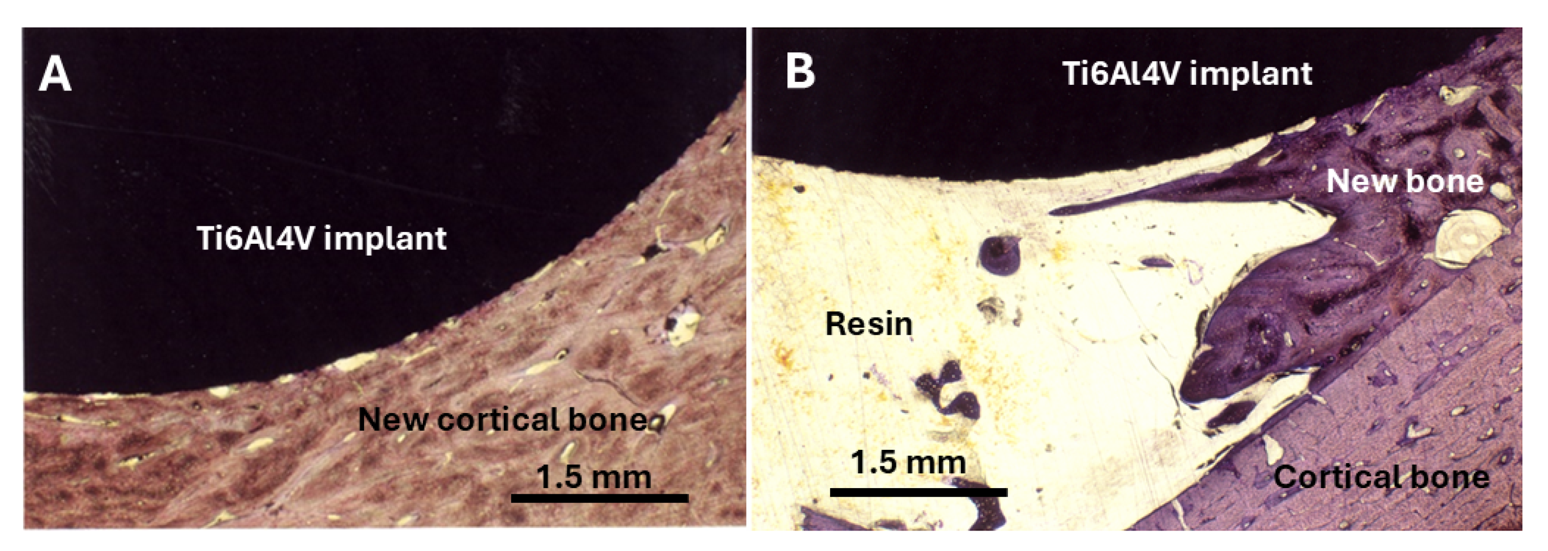Ceramics 07 00122 g006