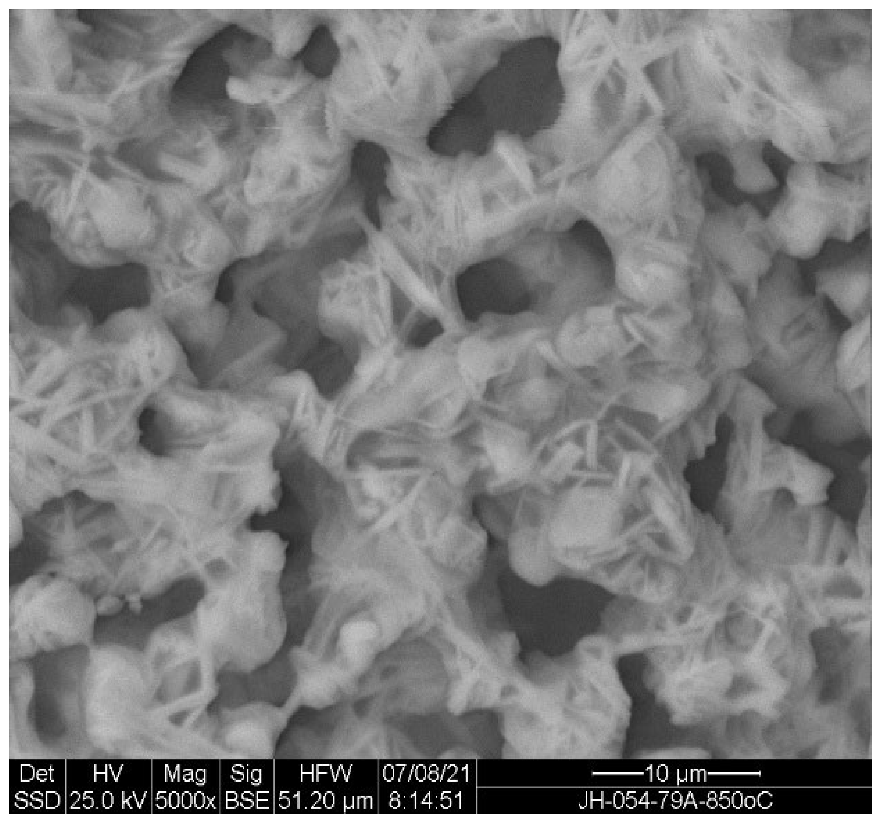 Ceramics 07 00124 g010