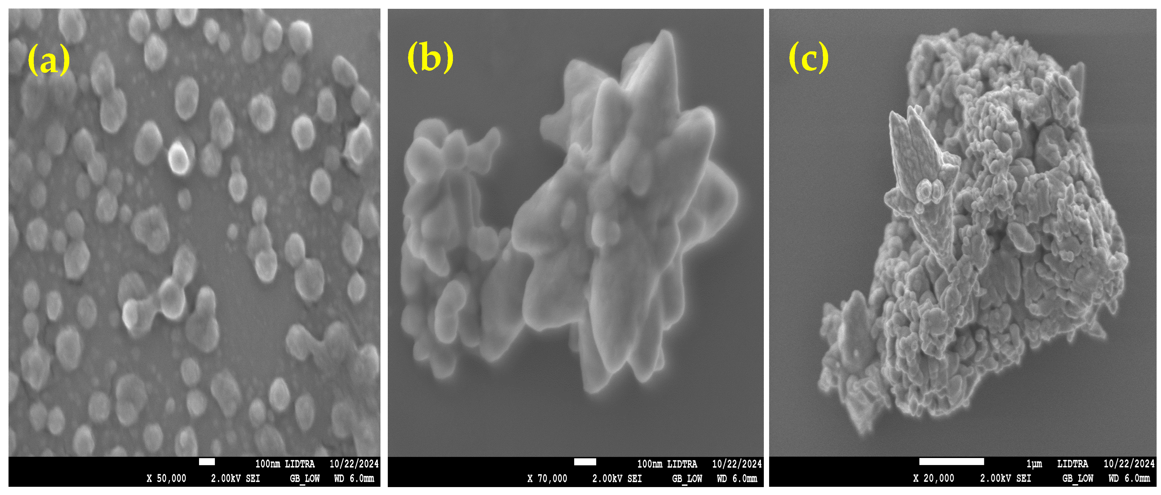Ceramics 08 00019 g006