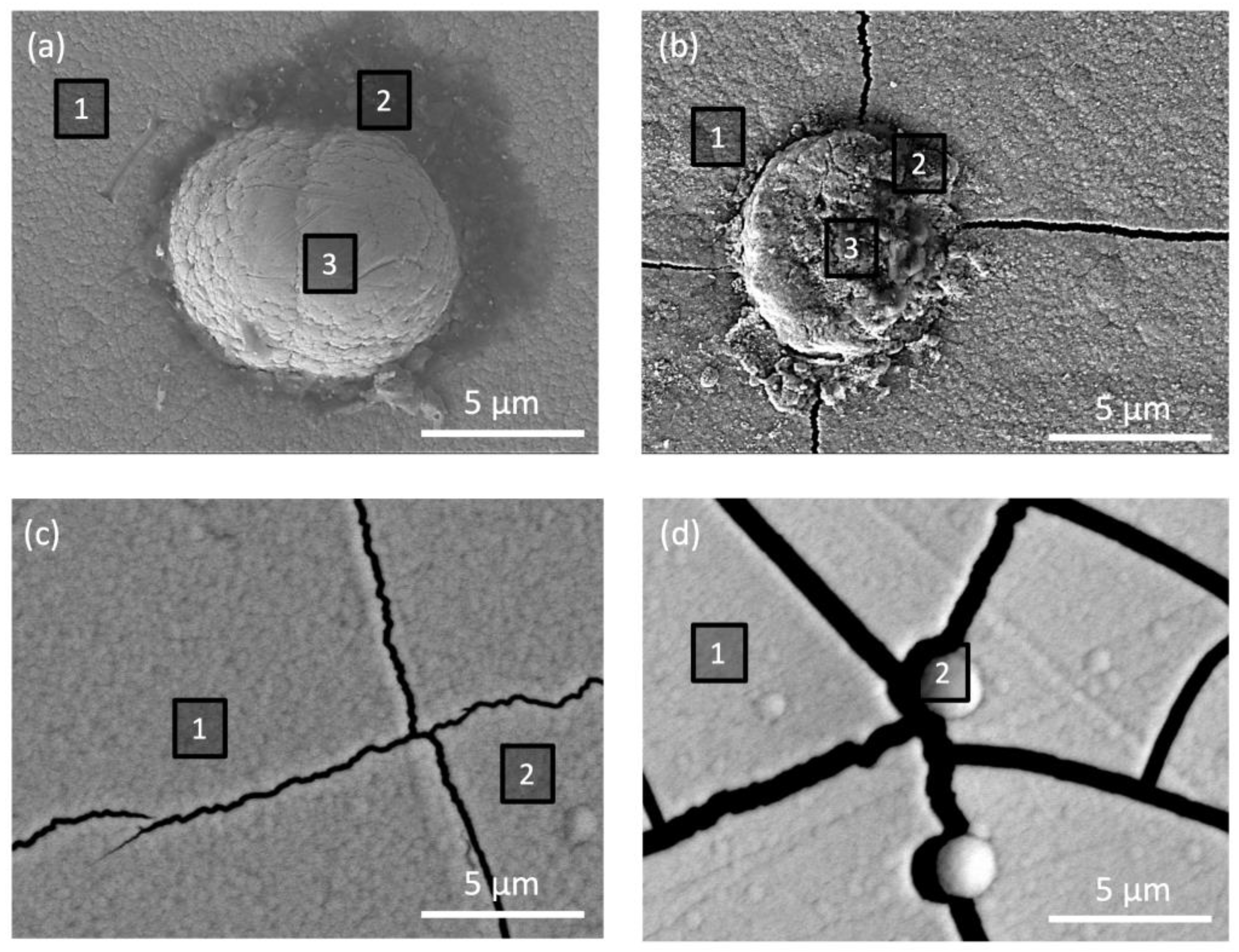 Ceramics 08 00025 g004