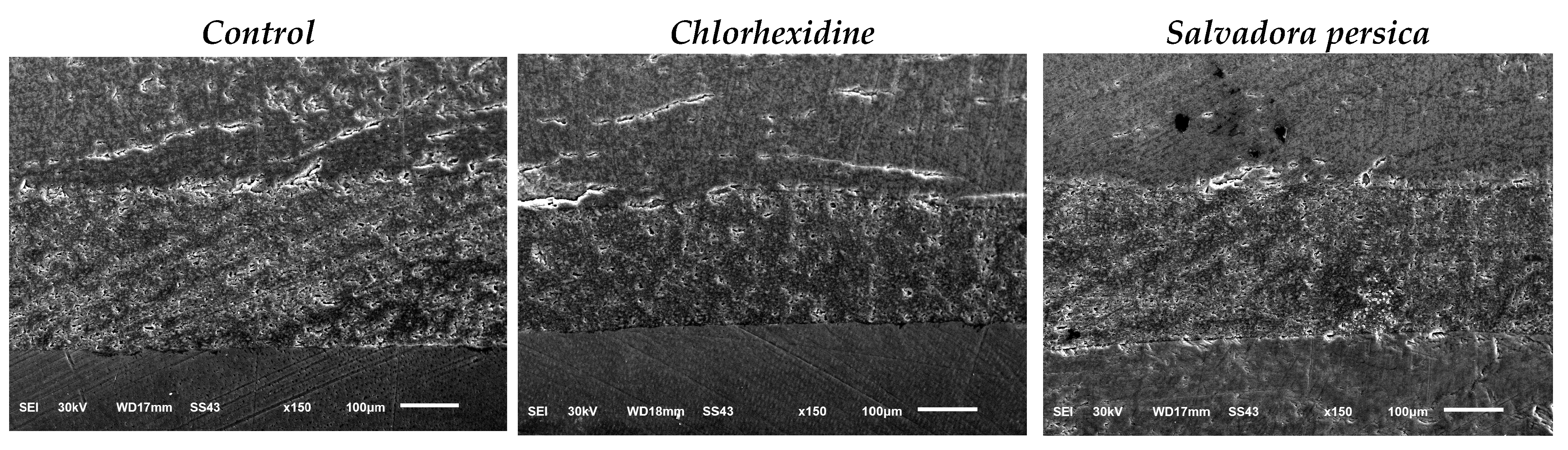 Ceramics 08 00034 g004