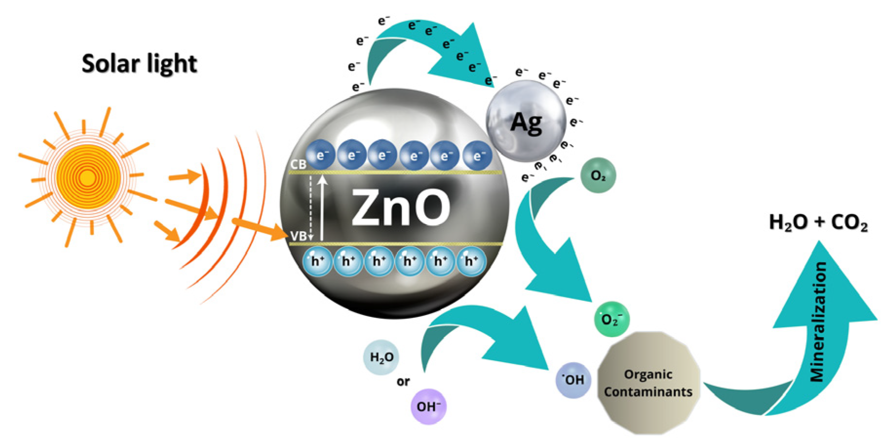 Ceramics 08 00045 g011