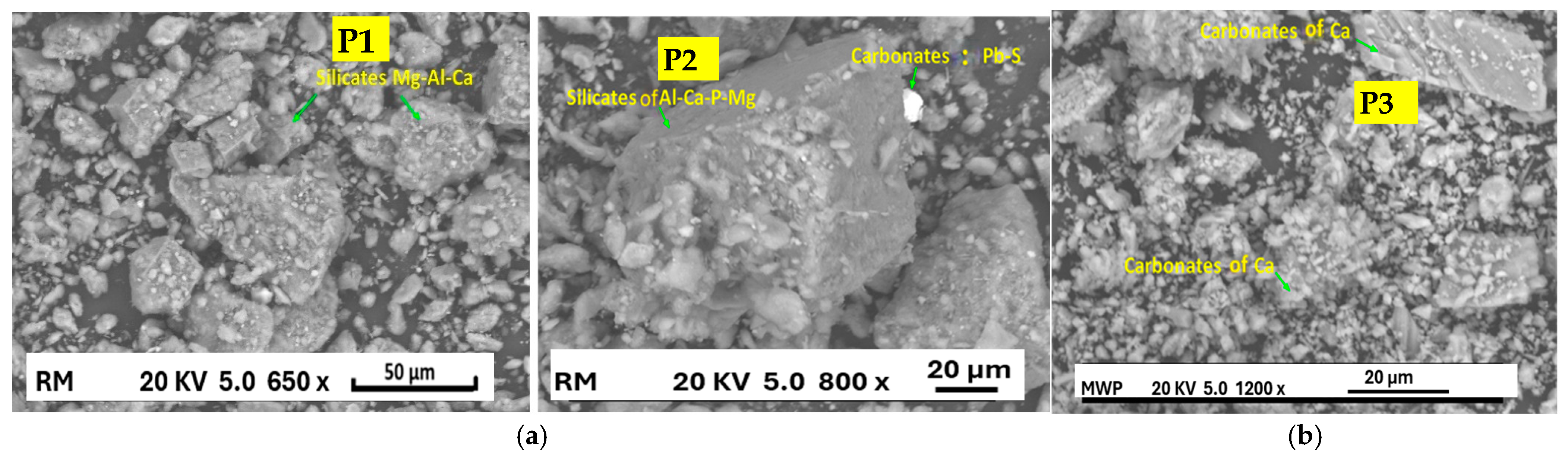 Ceramics 08 00048 g003