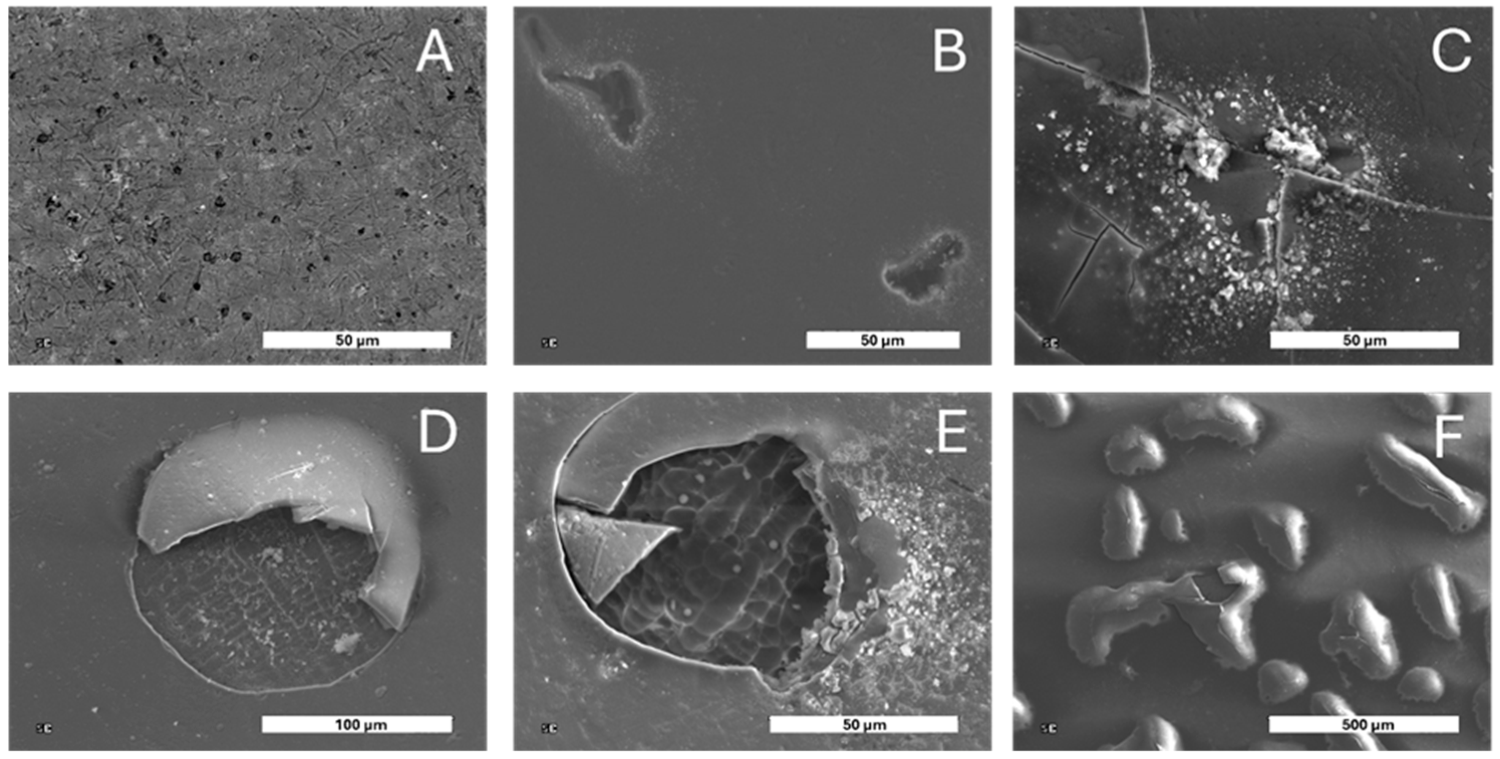 Ceramics 08 00050 g004 Ceramics 08 00050 g004