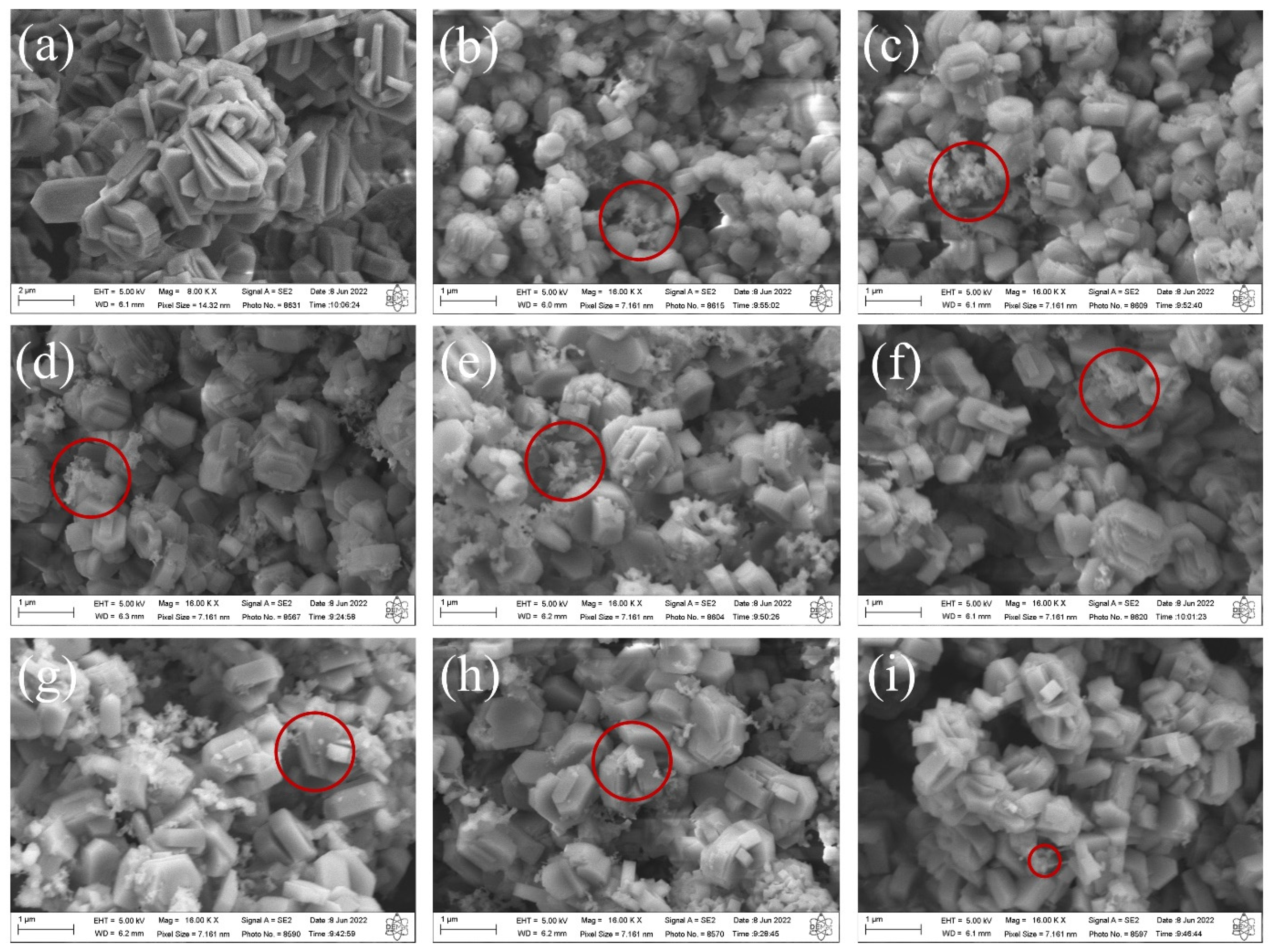 Ceramics 08 00056 g003