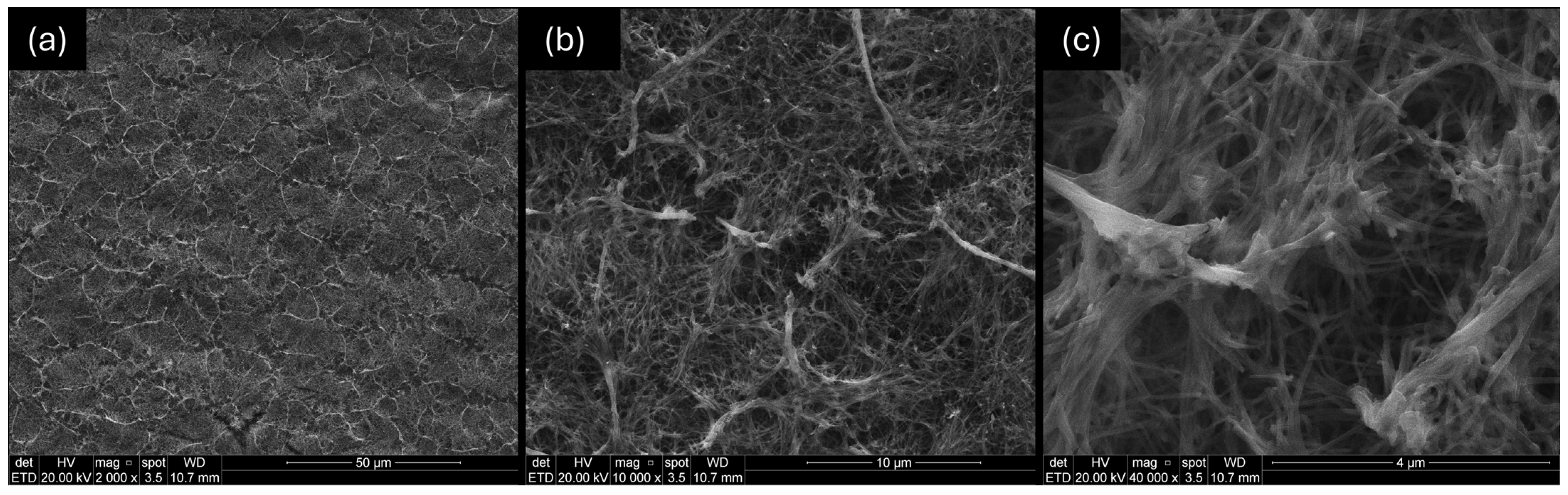 Ceramics 08 00059 g005