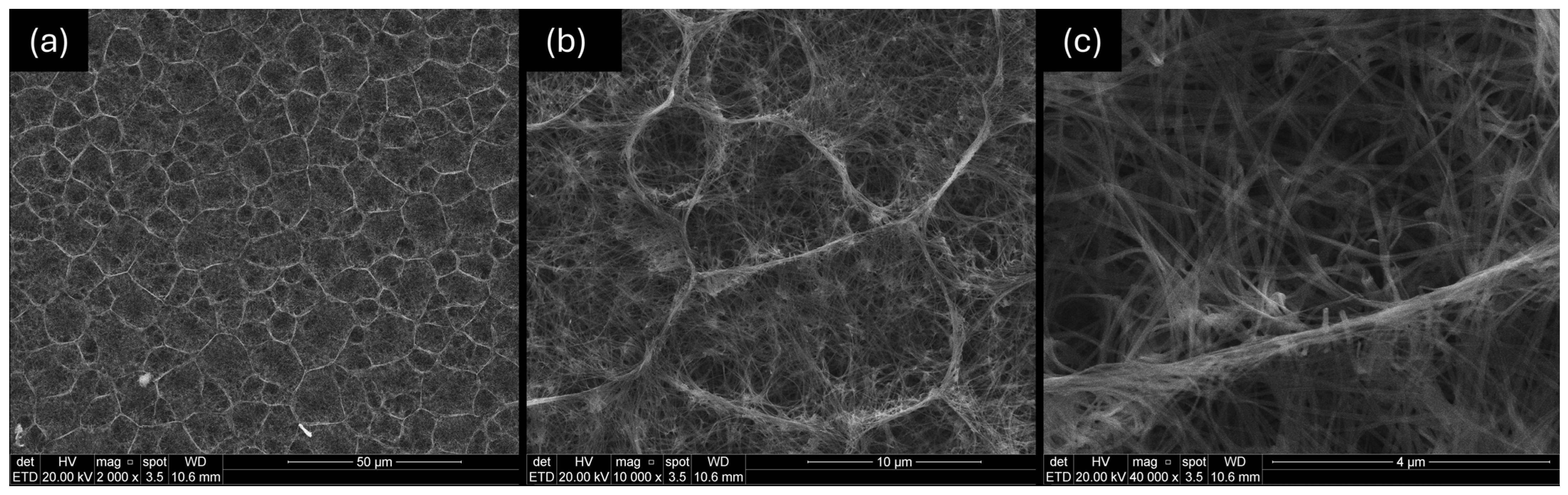 Ceramics 08 00059 g006