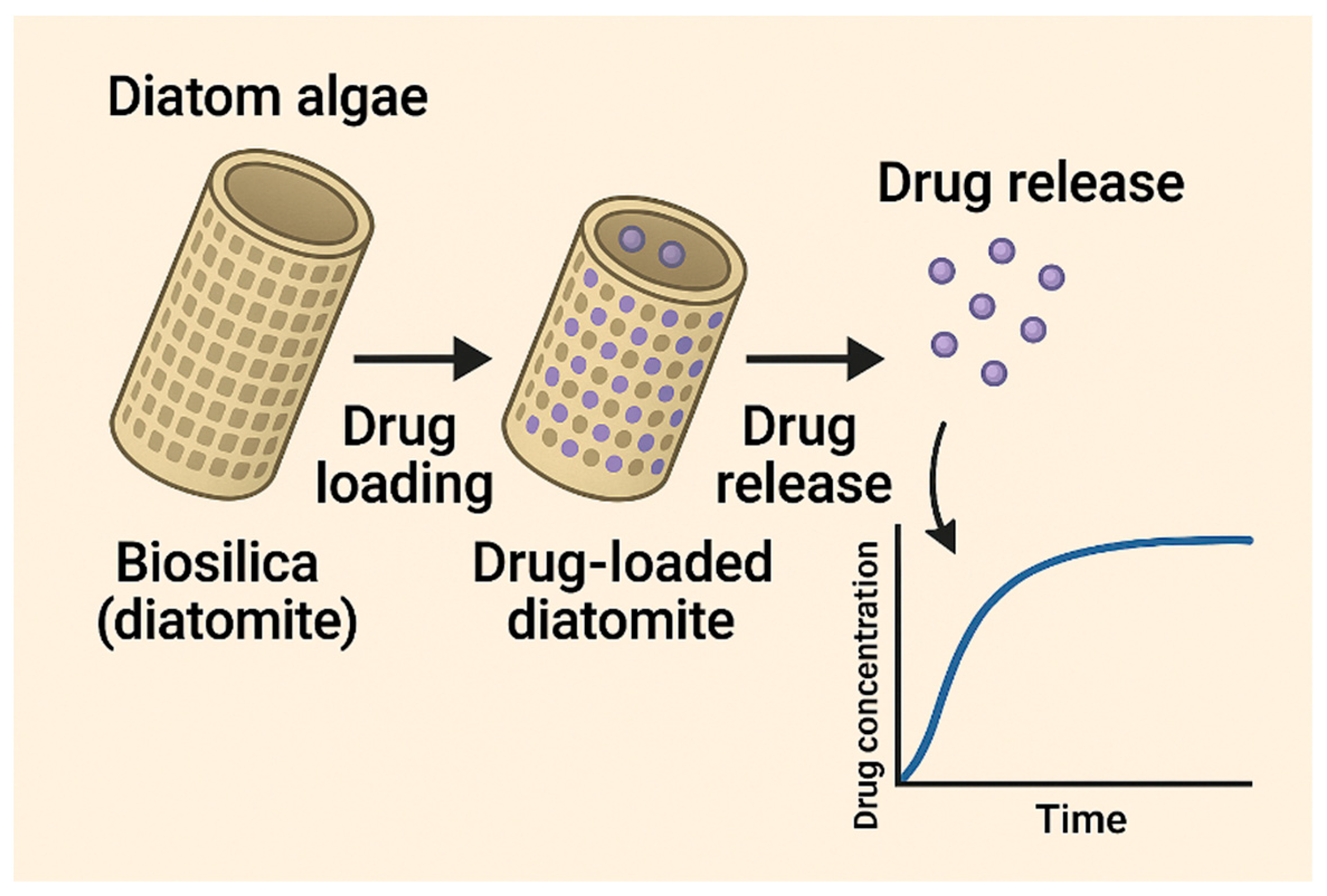 Ceramics 08 00062 g004