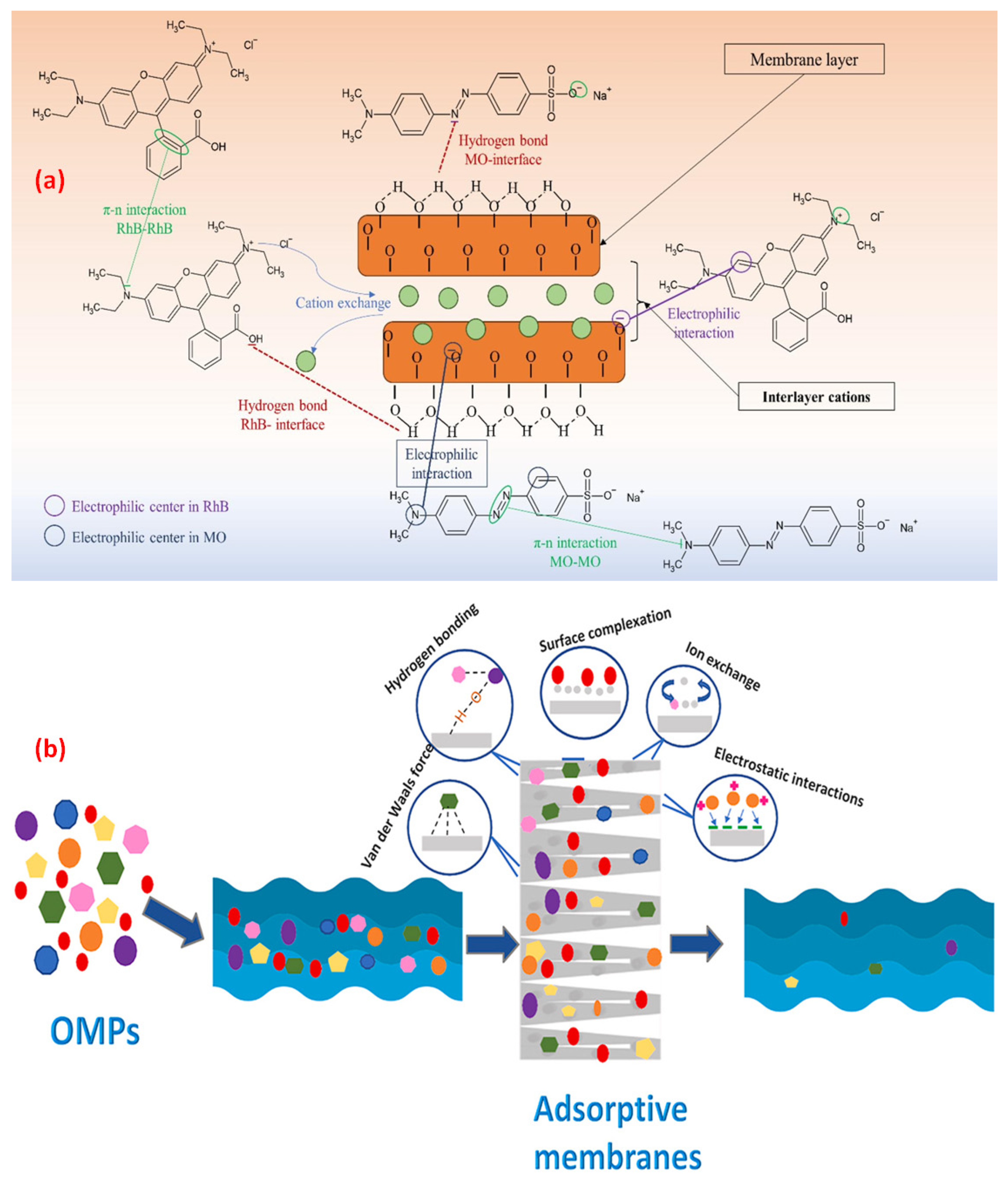Ceramics 08 00080 g006