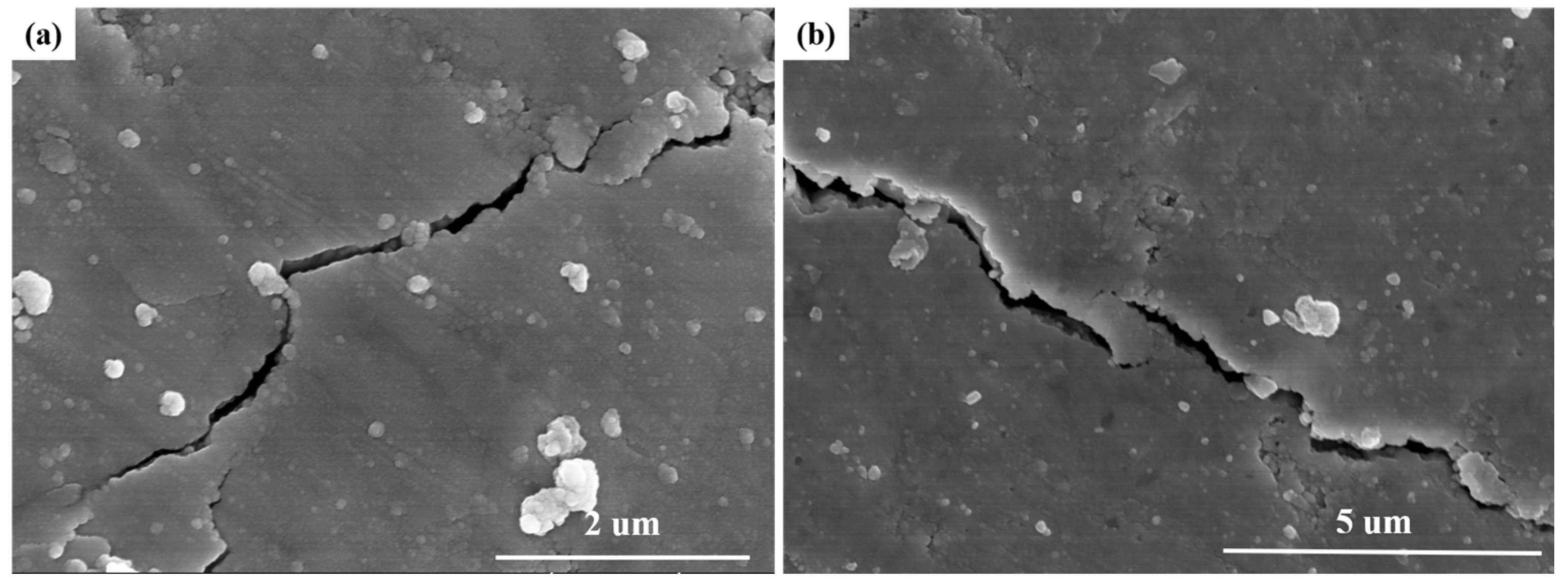 Ceramics 08 00089 g011
