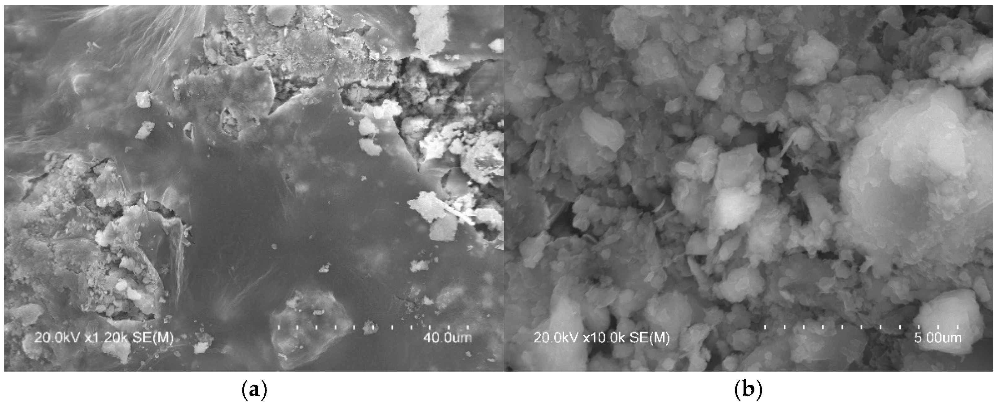 Ceramics 08 00104 g005