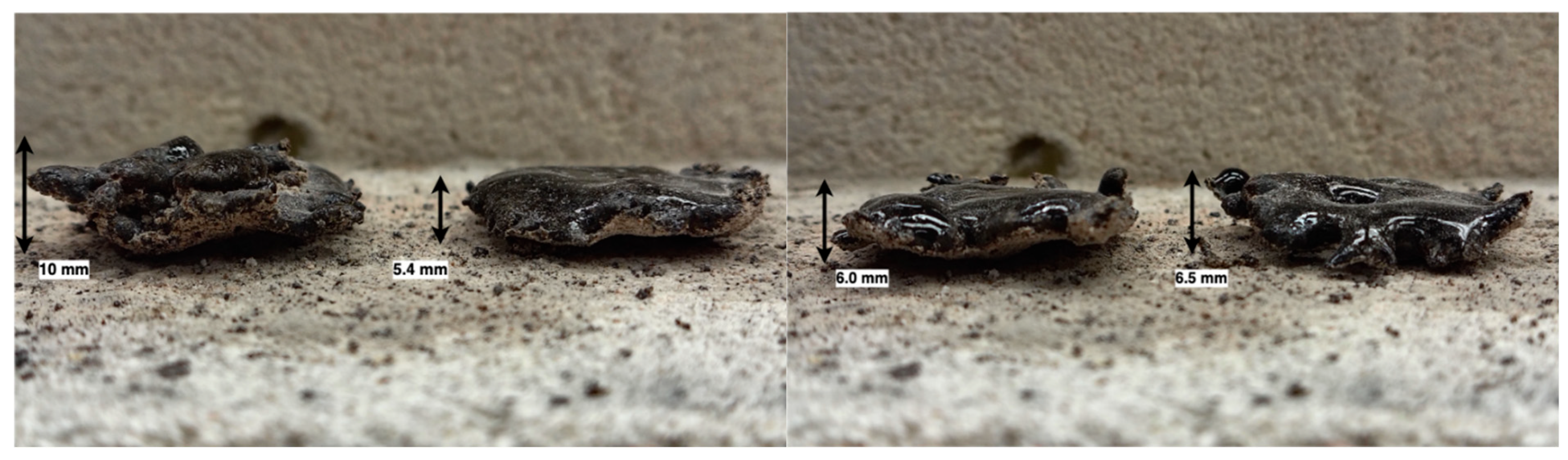 Ceramics 08 00107 g006