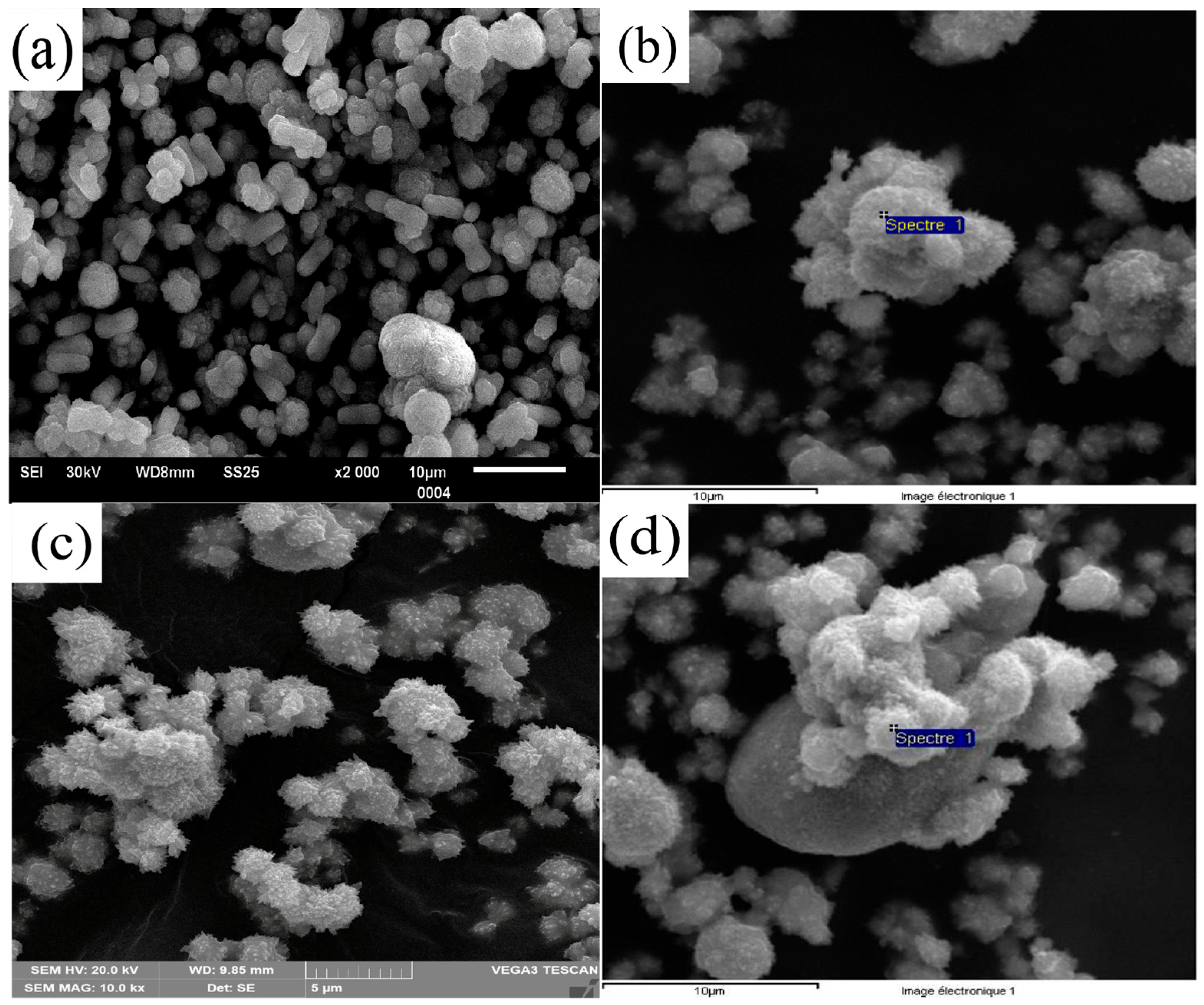 Ceramics 08 00110 g005