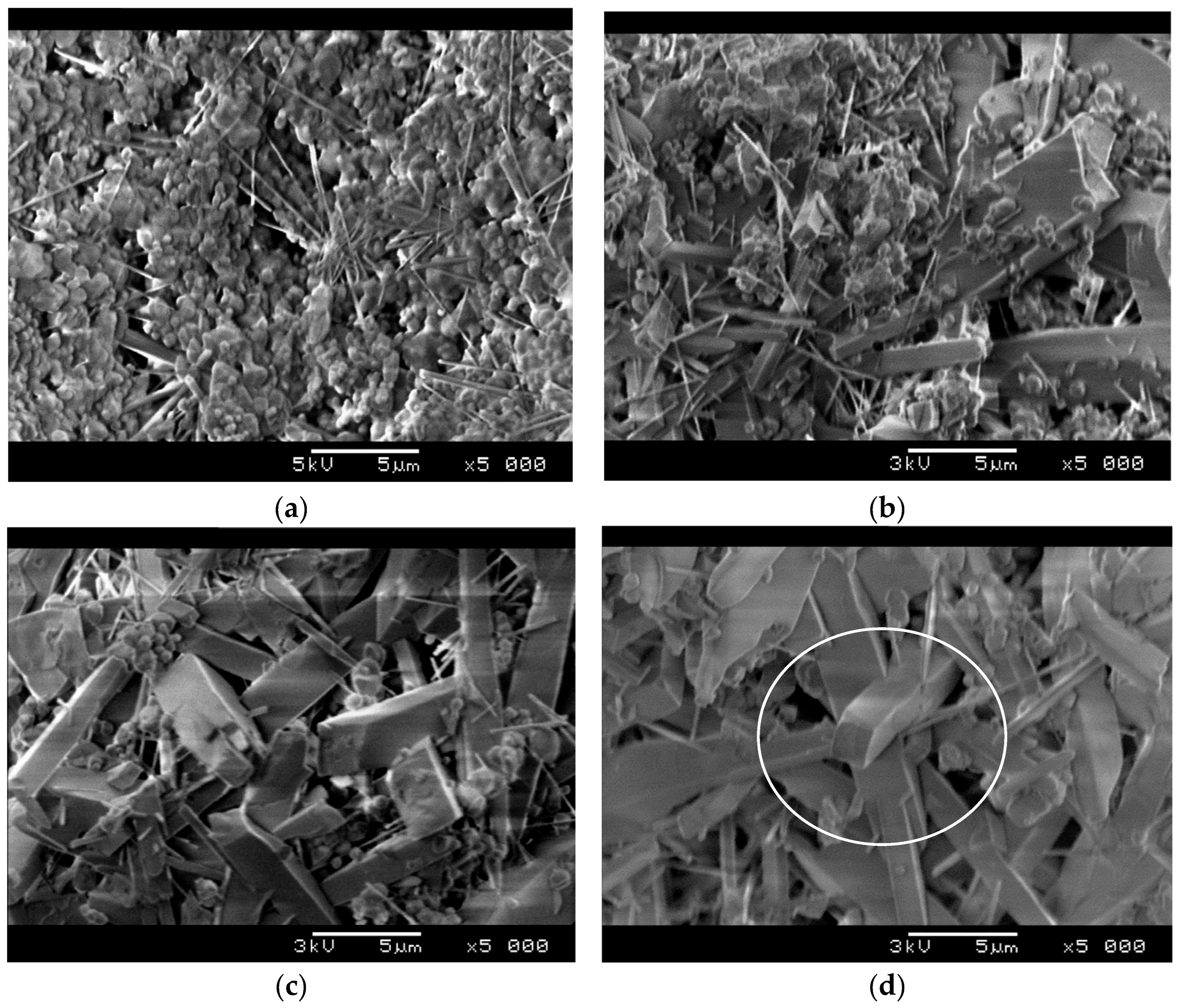 Ceramics 08 00111 g006