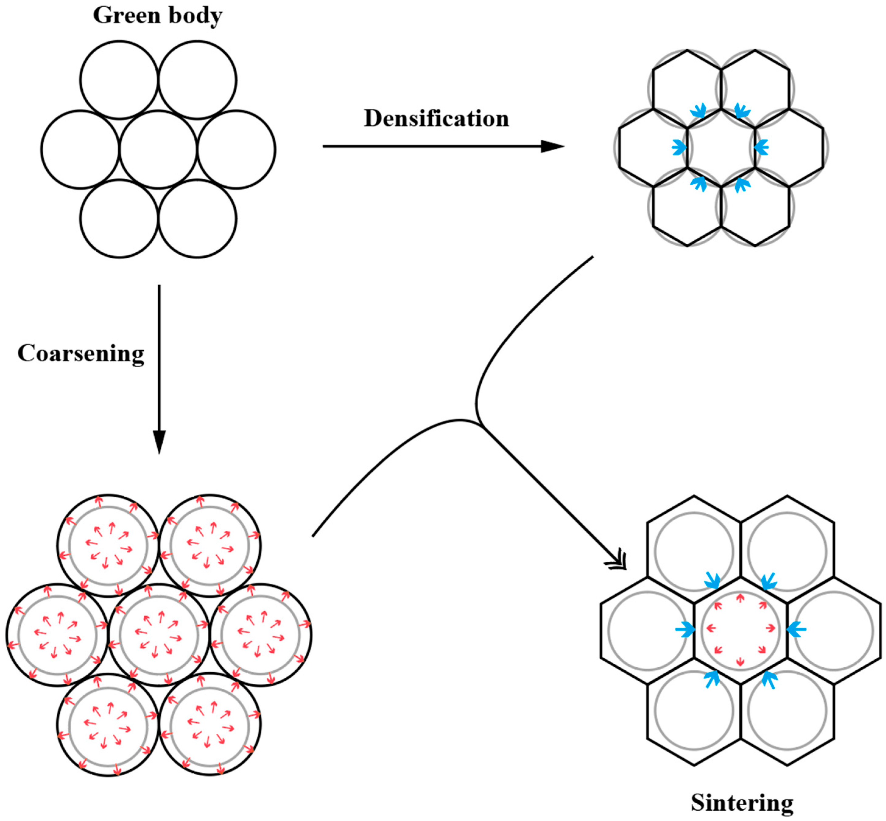 Ceramics 08 00118 g002 Ceramics 08 00118 g002