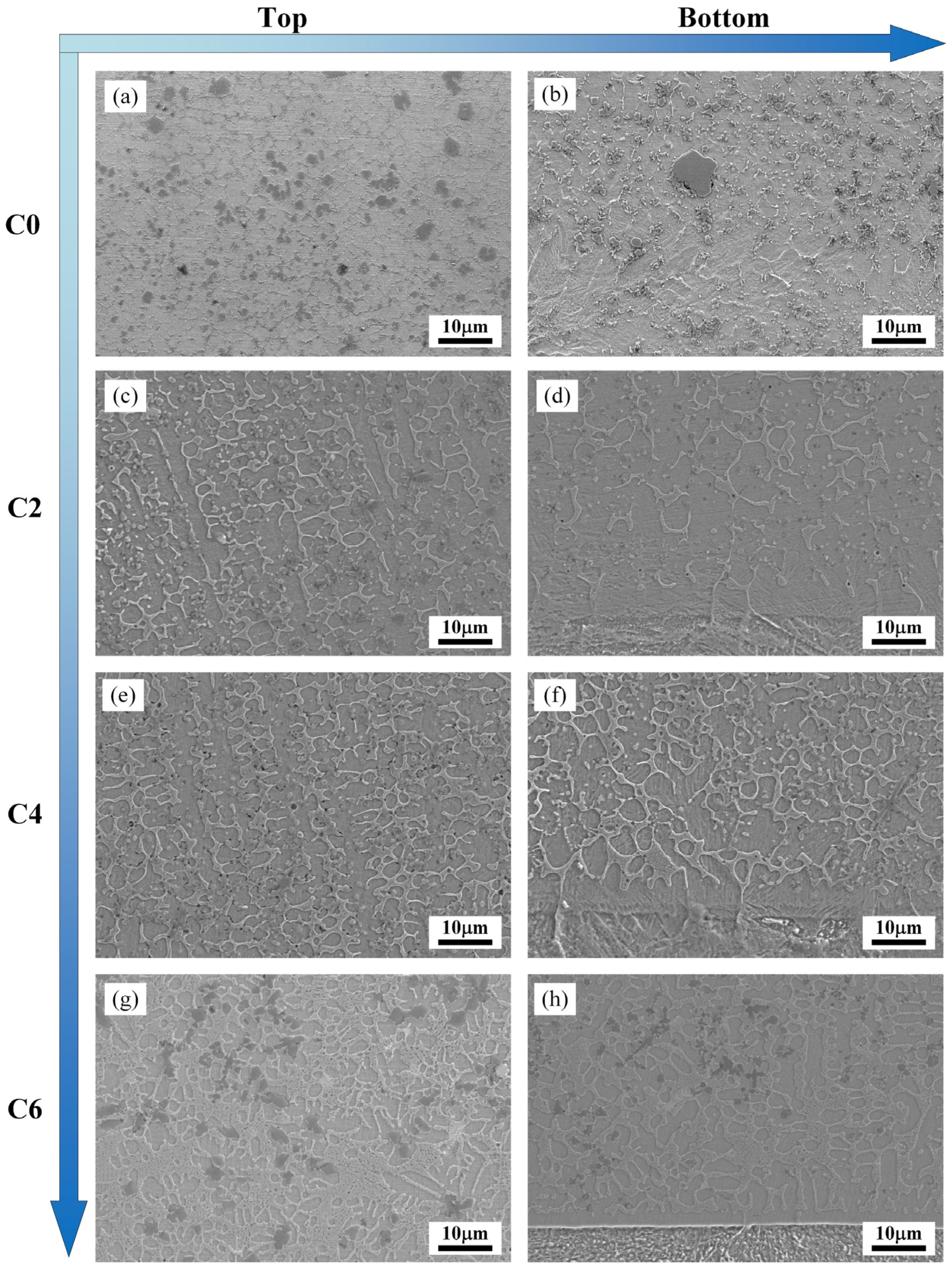 Ceramics 08 00121 g004 Ceramics 08 00121 g004