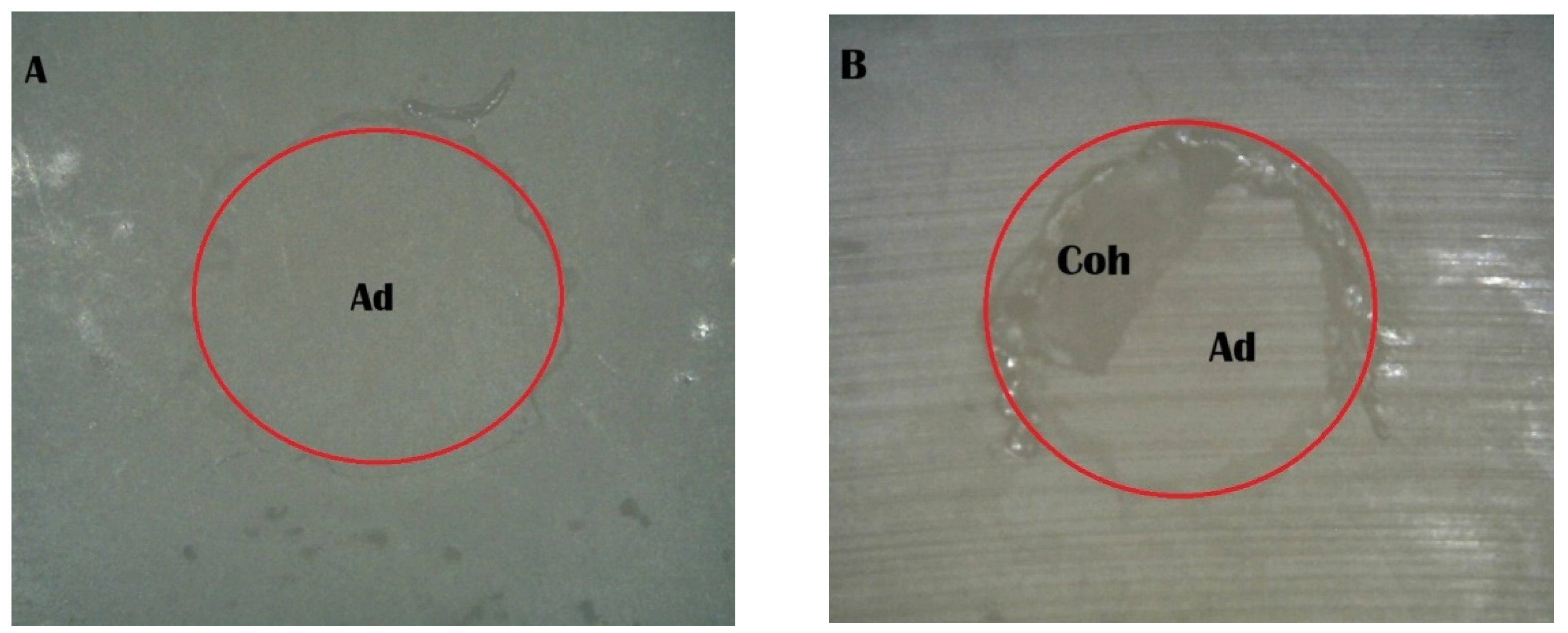 Ceramics 08 00123 g004