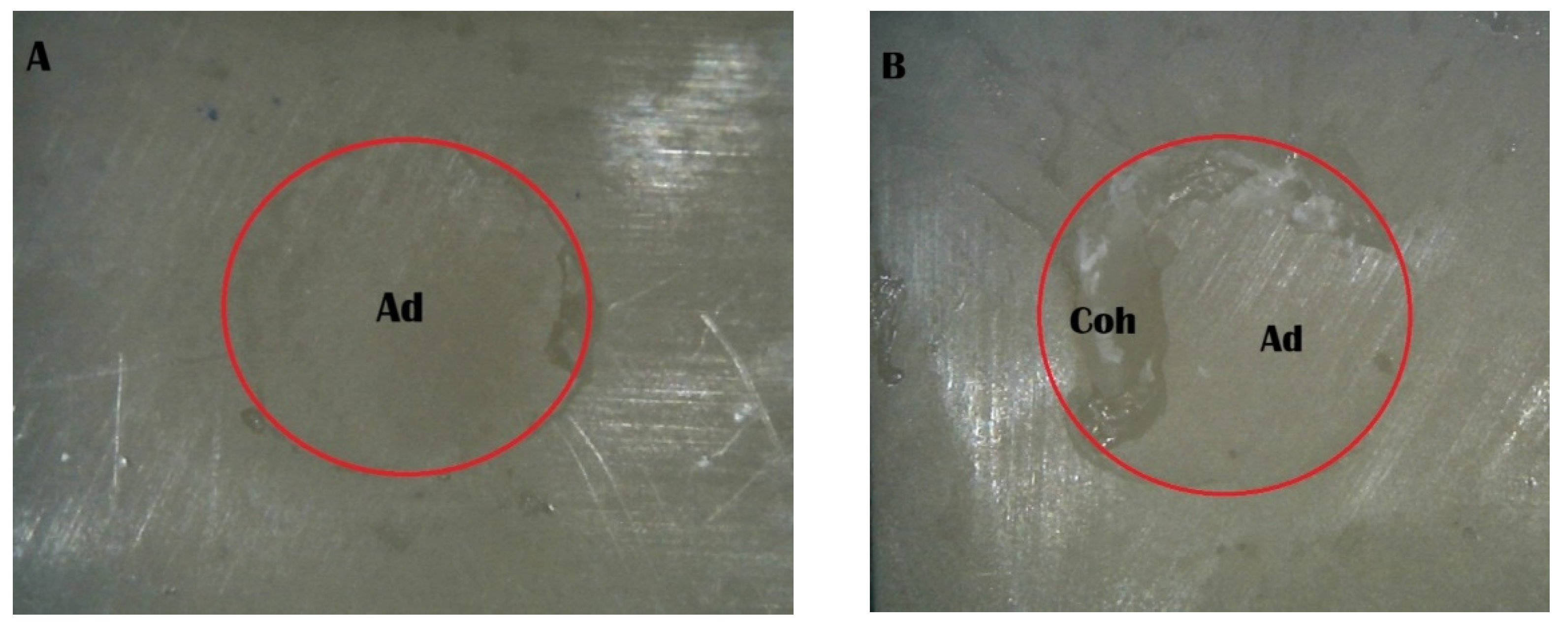 Ceramics 08 00123 g006
