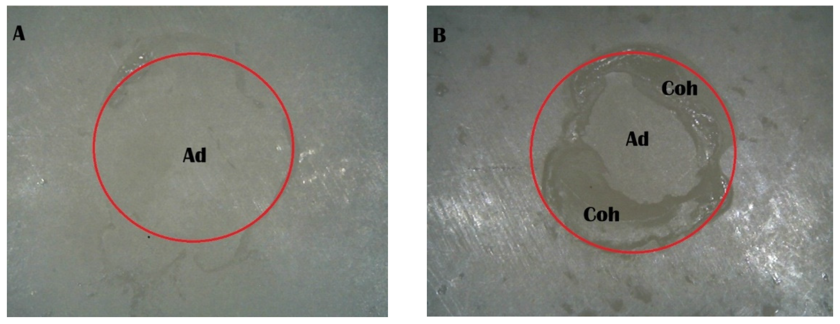 Ceramics 08 00123 g008