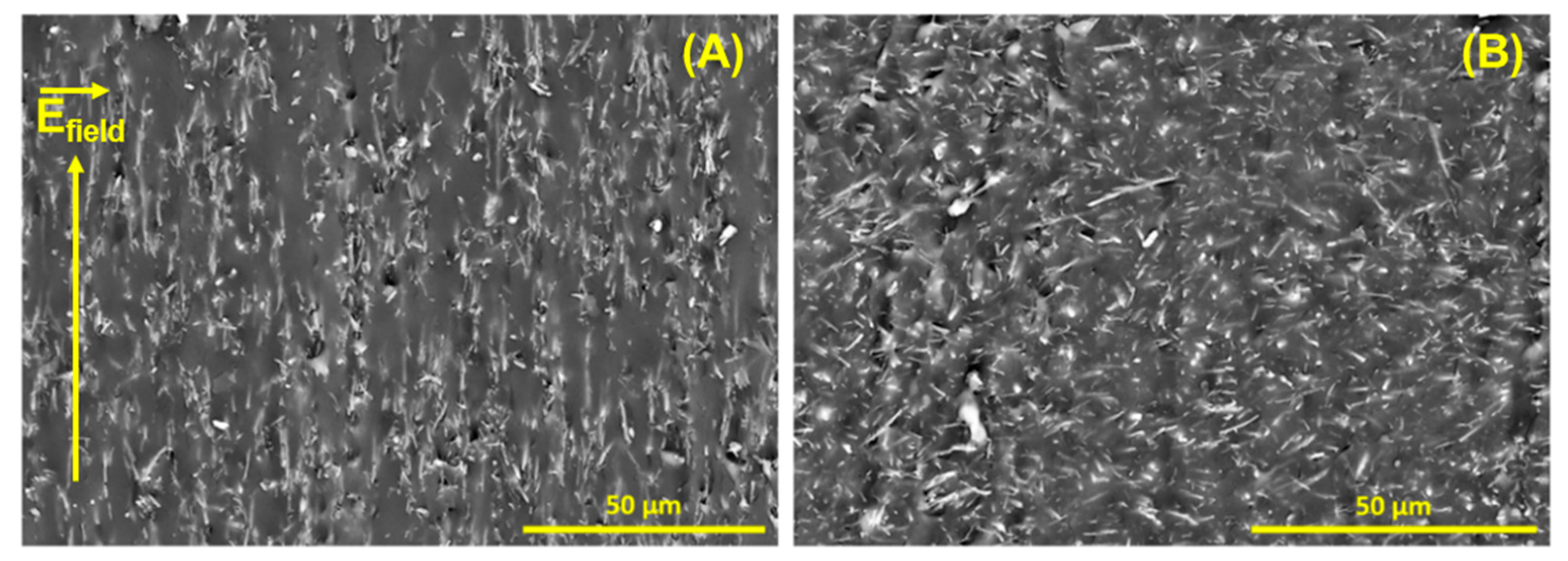 Ceramics 08 00127 g013