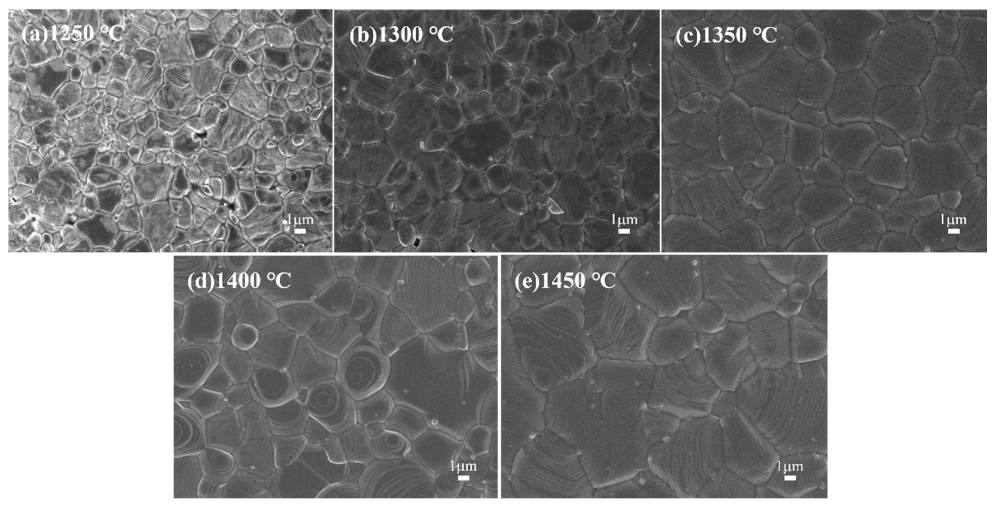 Ceramics 08 00128 g003