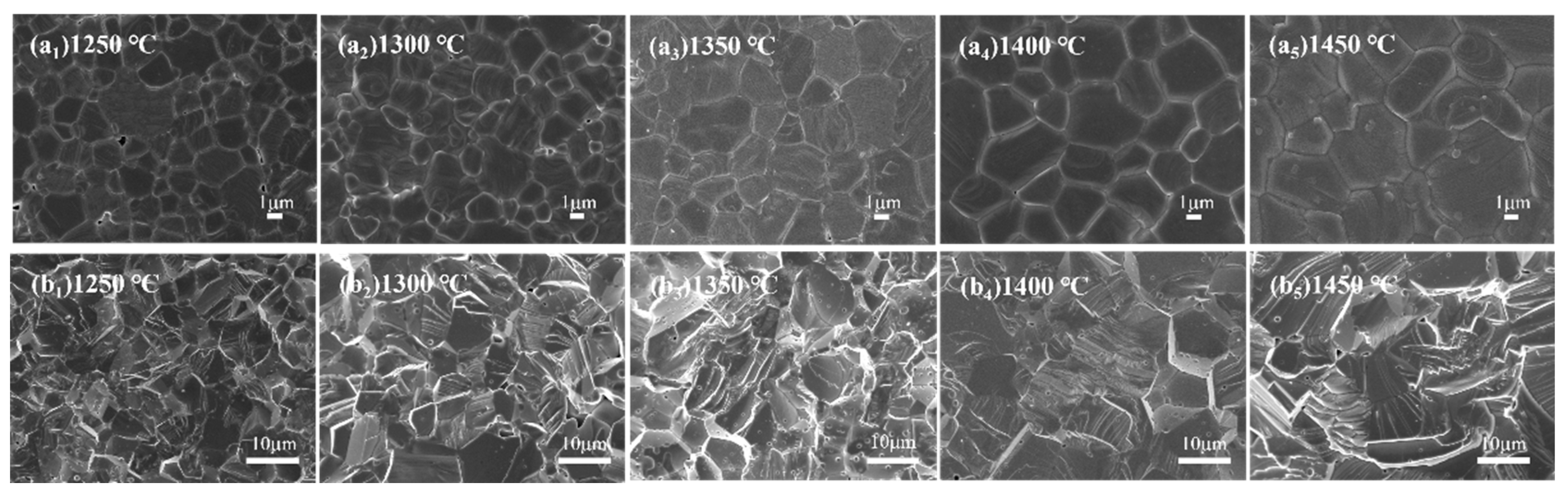 Ceramics 08 00128 g006