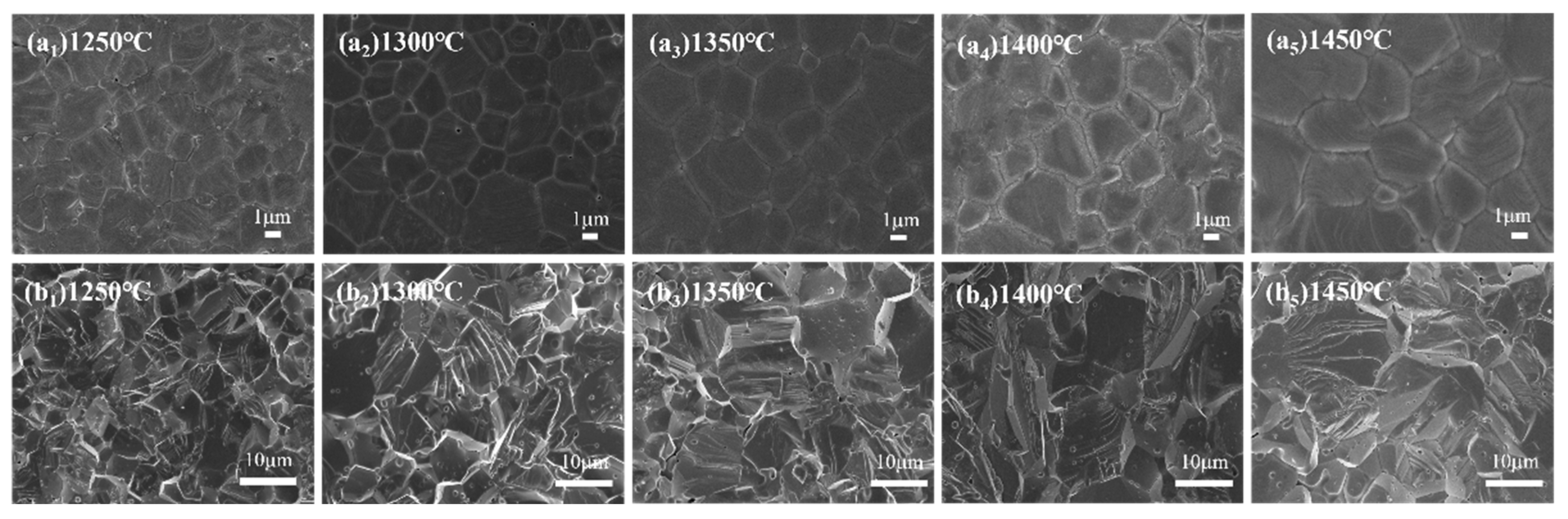 Ceramics 08 00128 g007