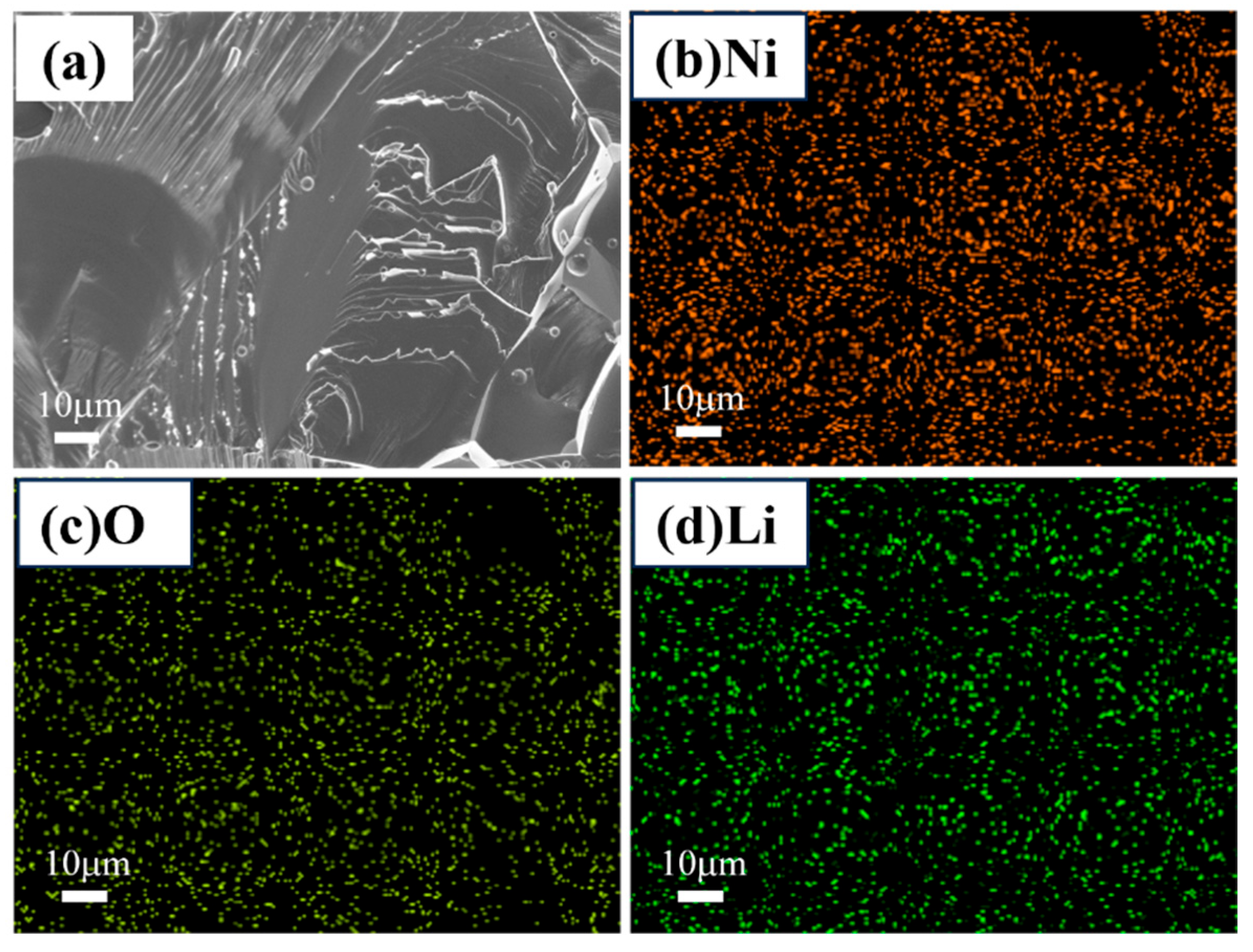Ceramics 08 00128 g010