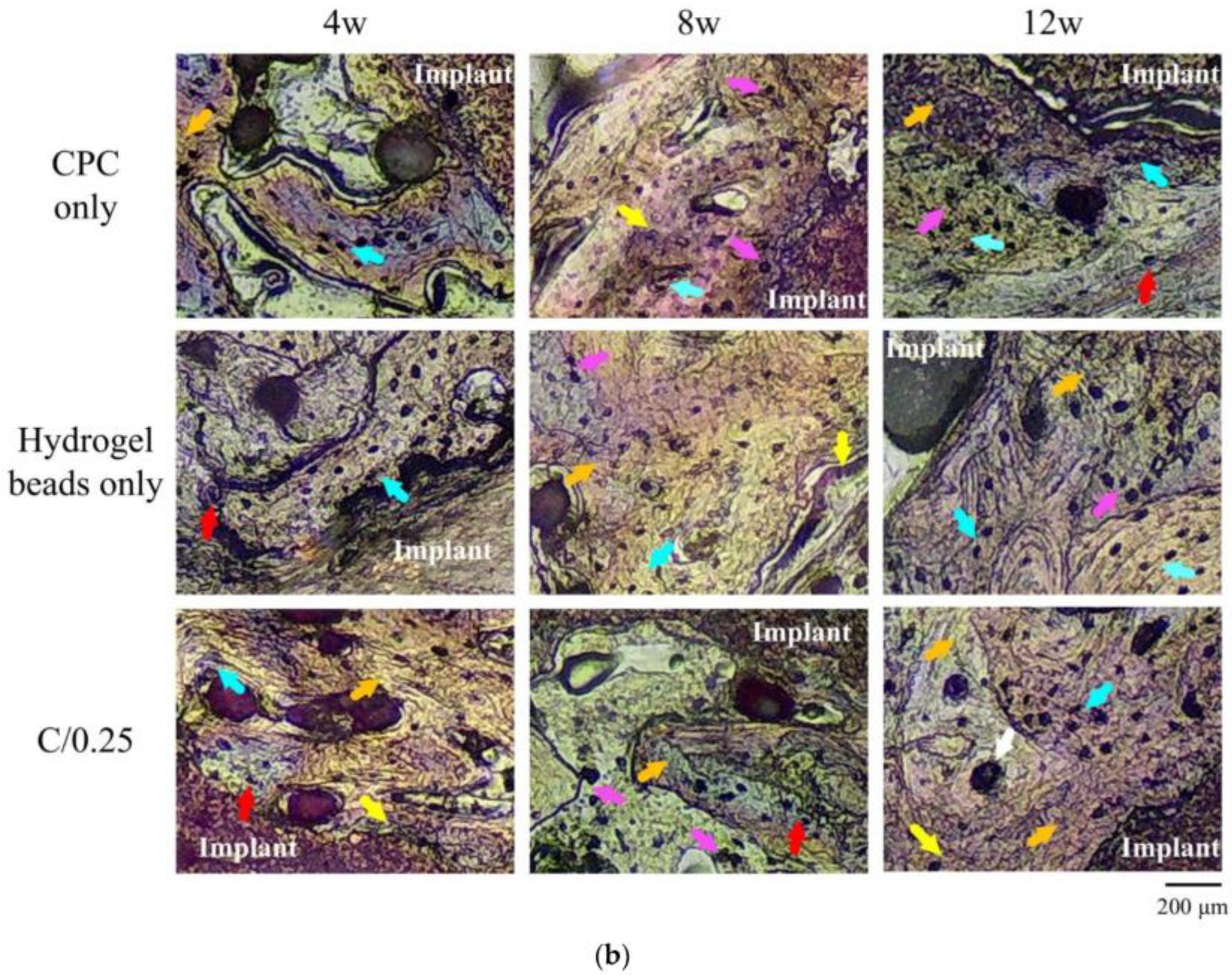 Ceramics 08 00129 g001b Ceramics 08 00129 g001b