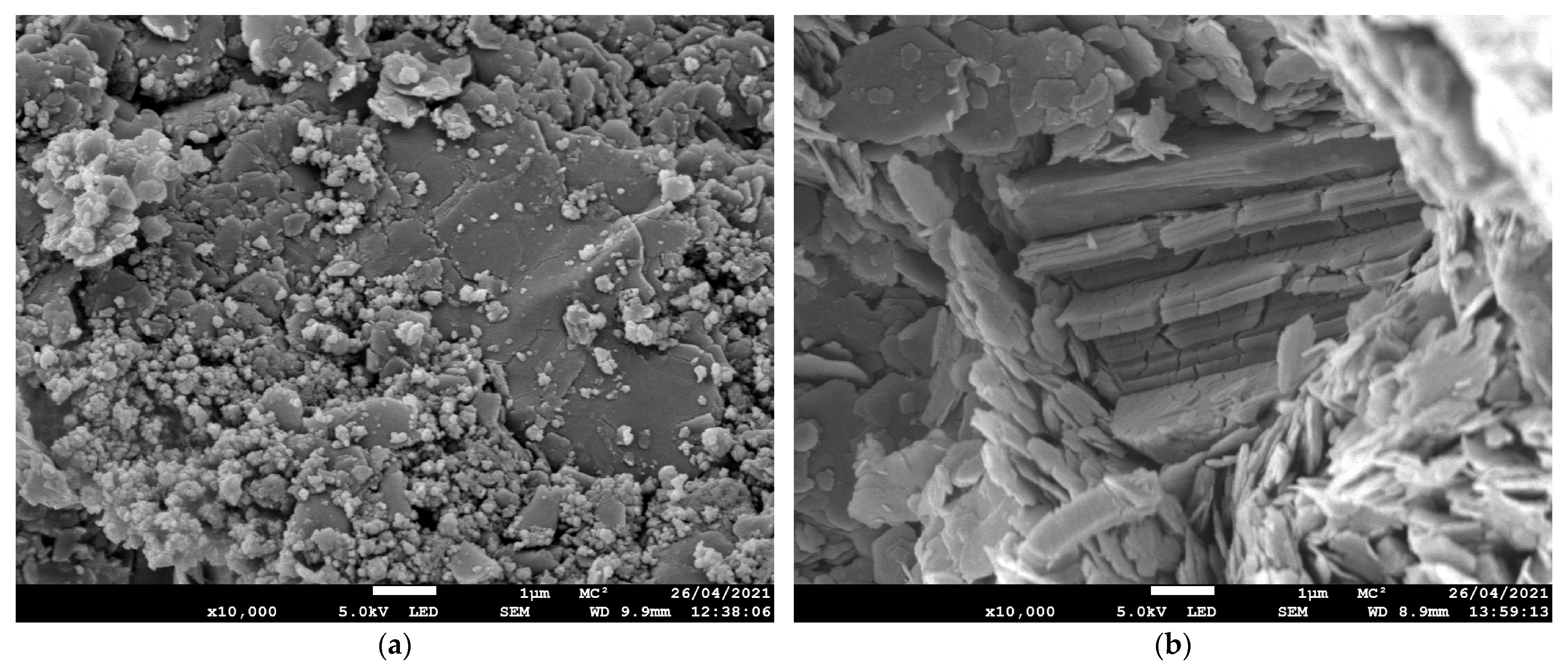 Ceramics 08 00134 g004 Ceramics 08 00134 g004