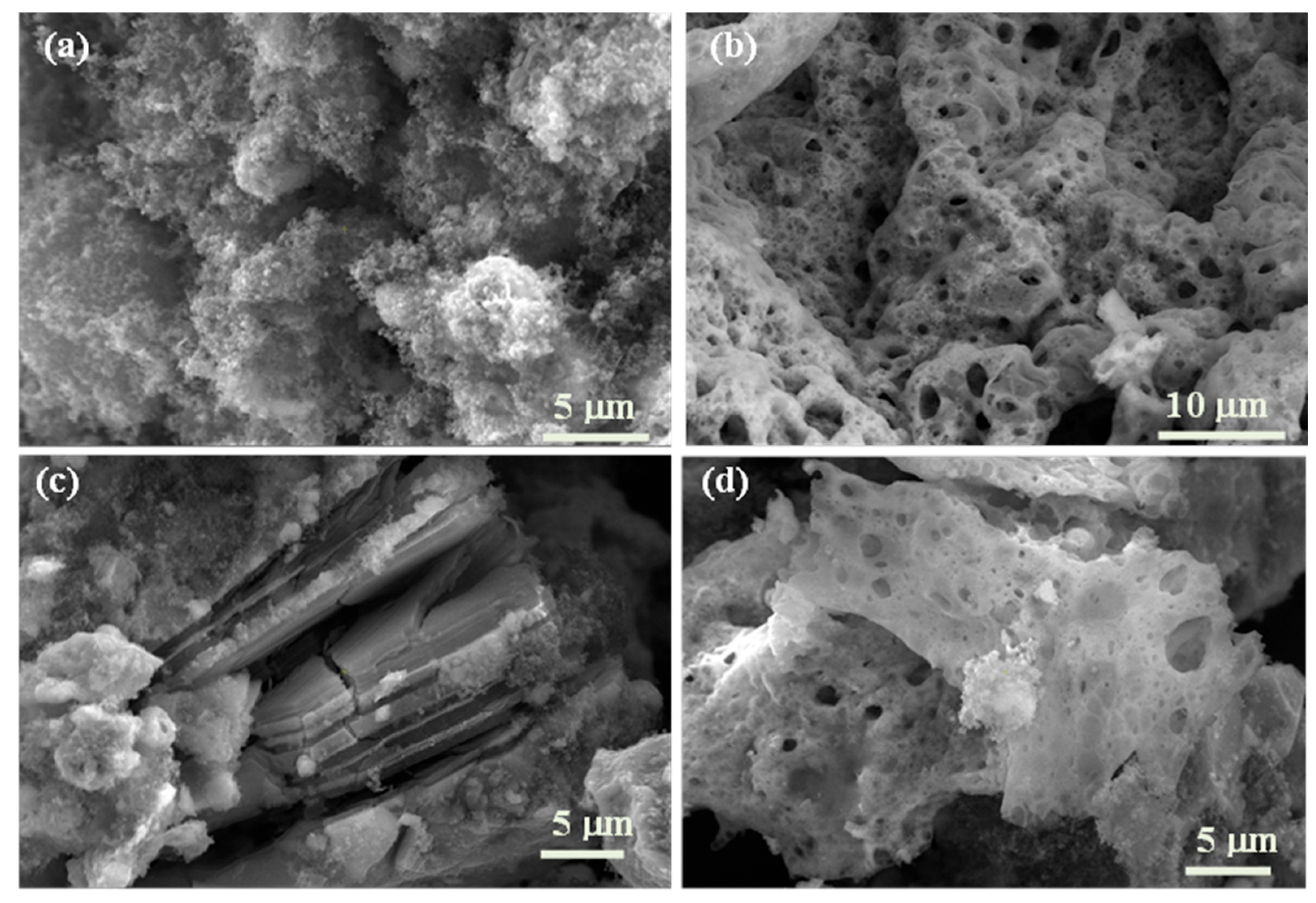 Ceramics 08 00137 g003