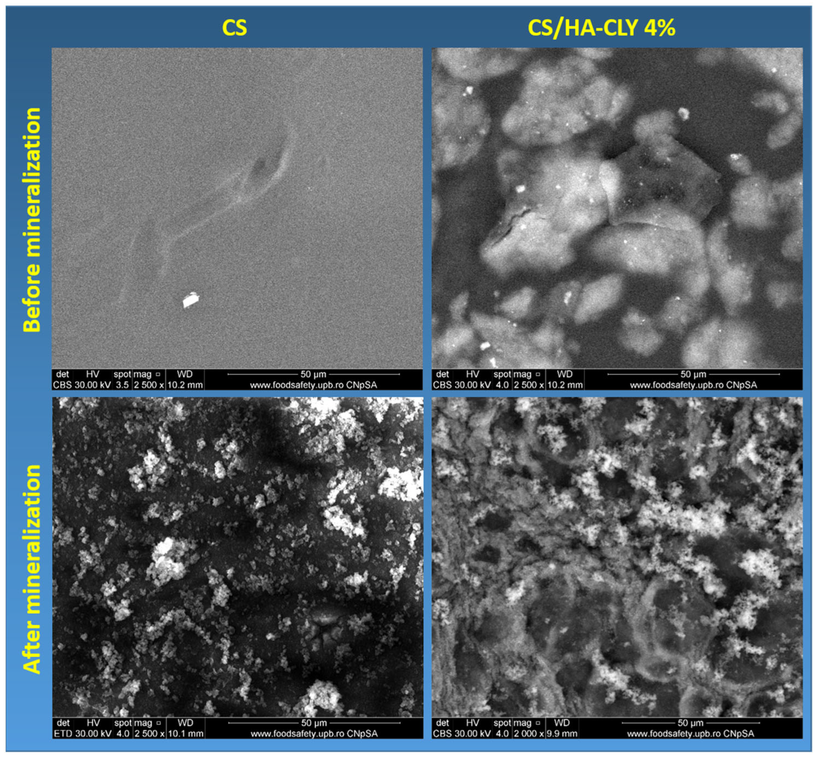 Ceramics 08 00138 g005