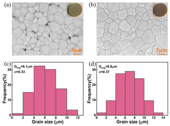 その他 Thus adidas Zx Torsion Clear Aqua Men's - EF4343 - US