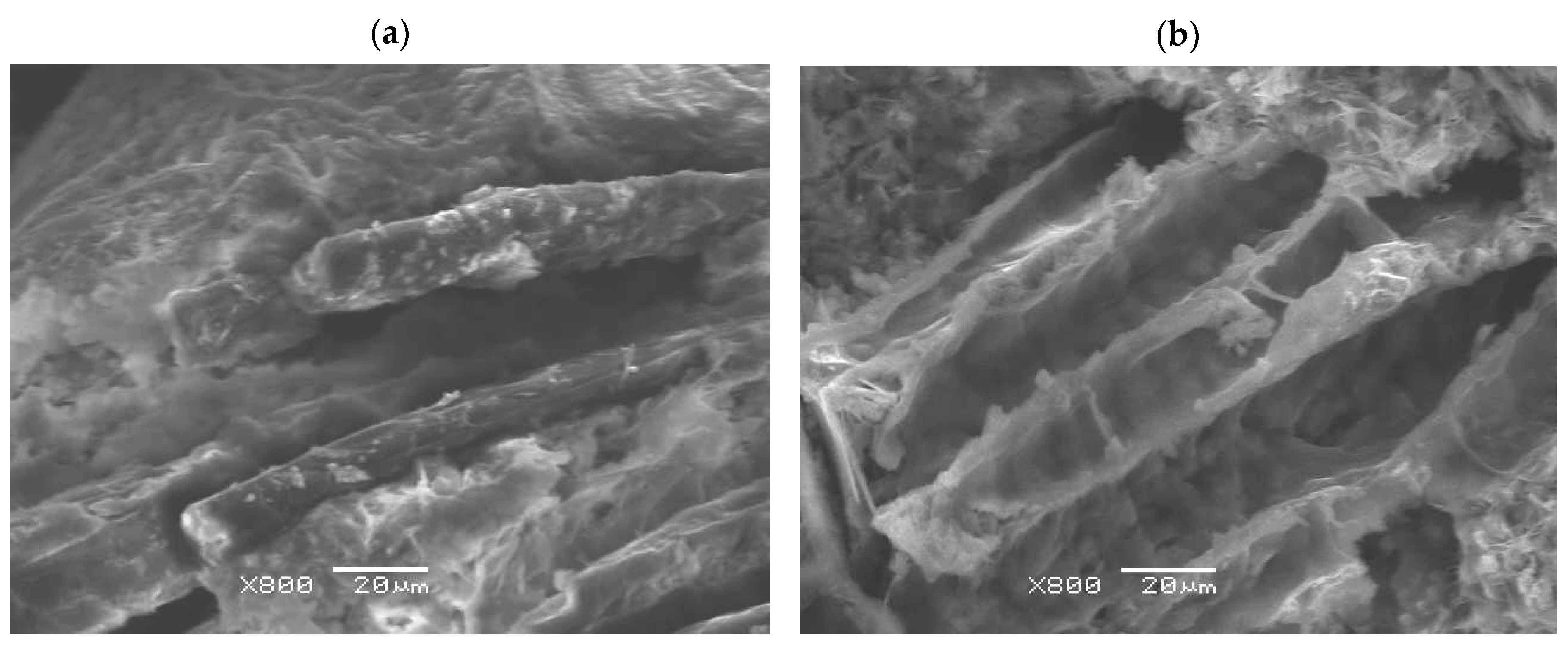 Ceramics 08 00140 g013