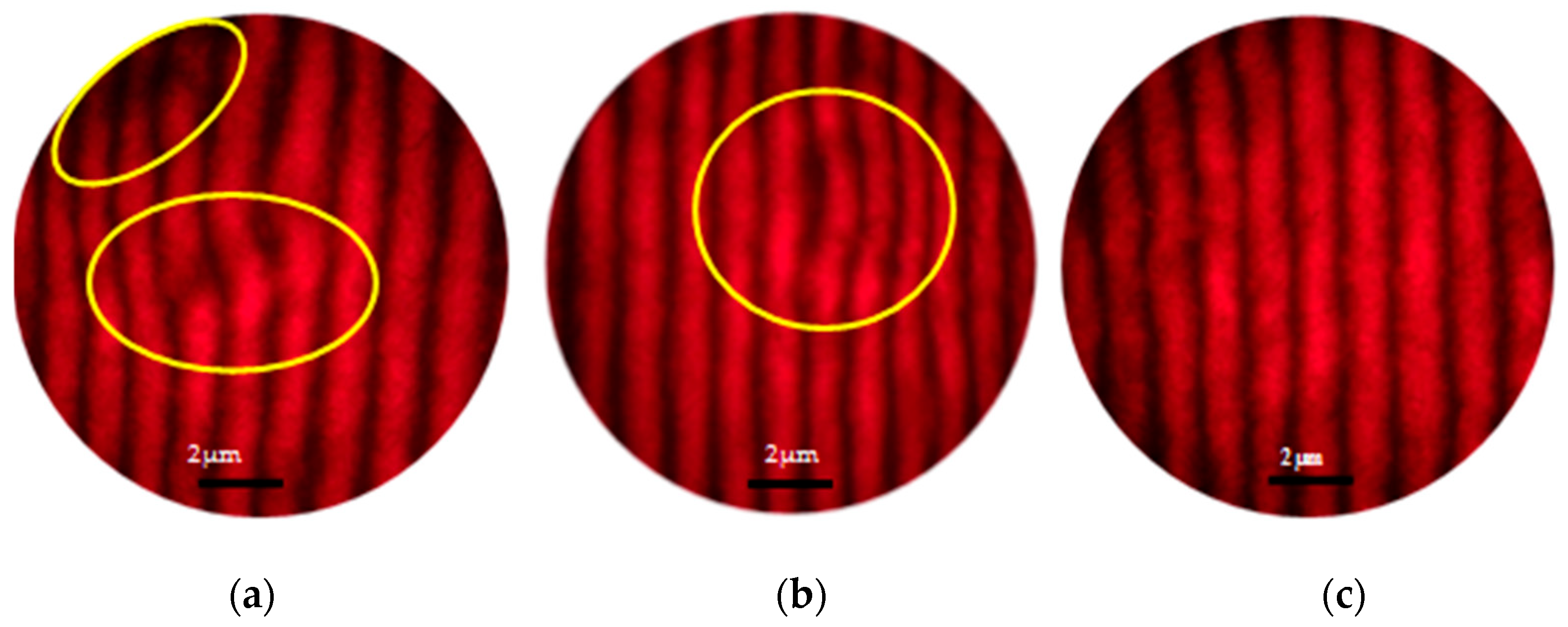 Ceramics 08 00142 g004