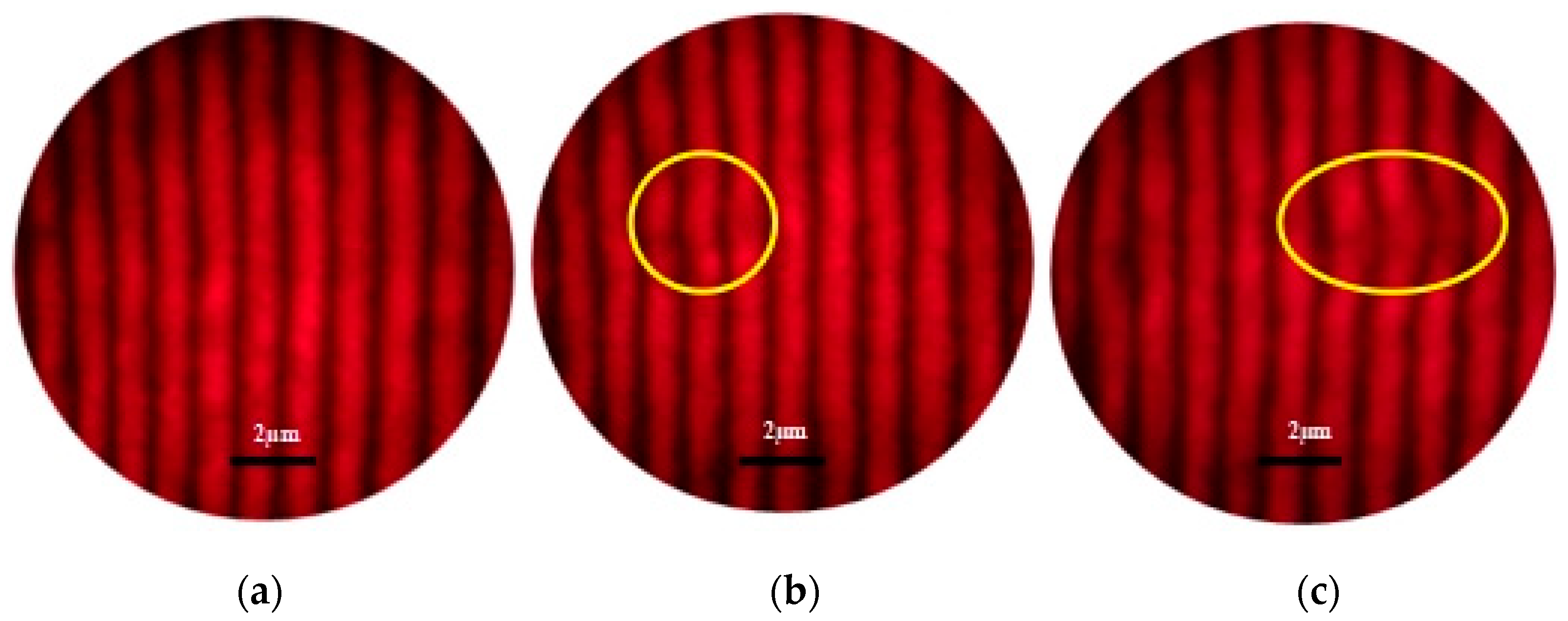 Ceramics 08 00142 g005